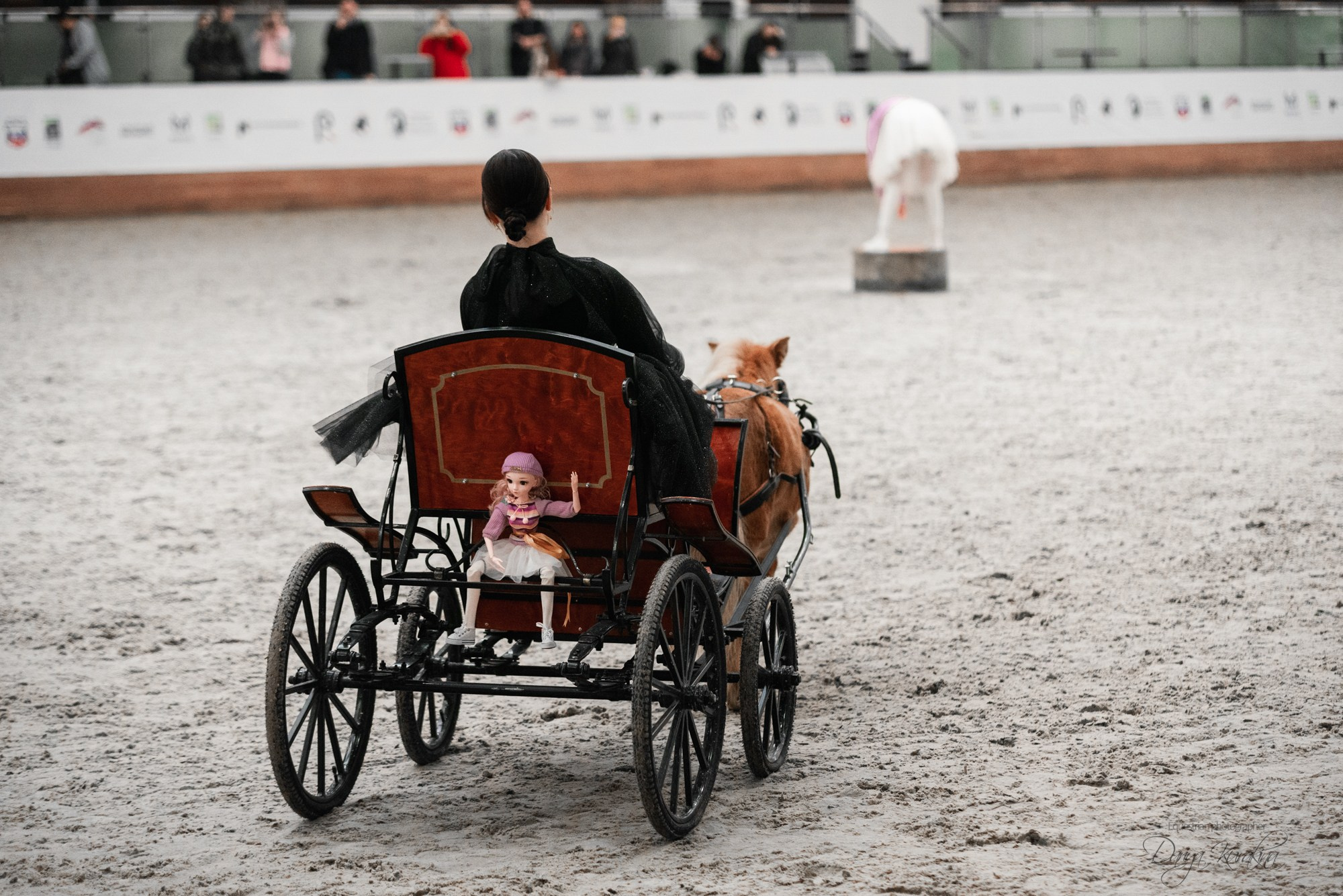8-я международная выставка Конная Россия. Конный фотограф Куракина Дарья • Фотосессии с лошадьми