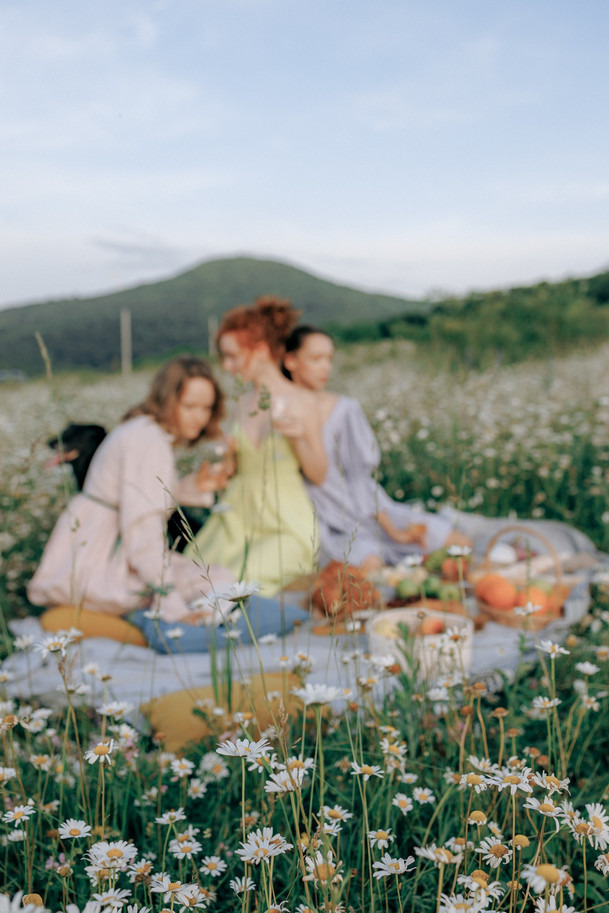 Picnic in the chamomile field in Georgia. Fedor Lemeshko — Destination Wedding and Family Lifestyle photographer
