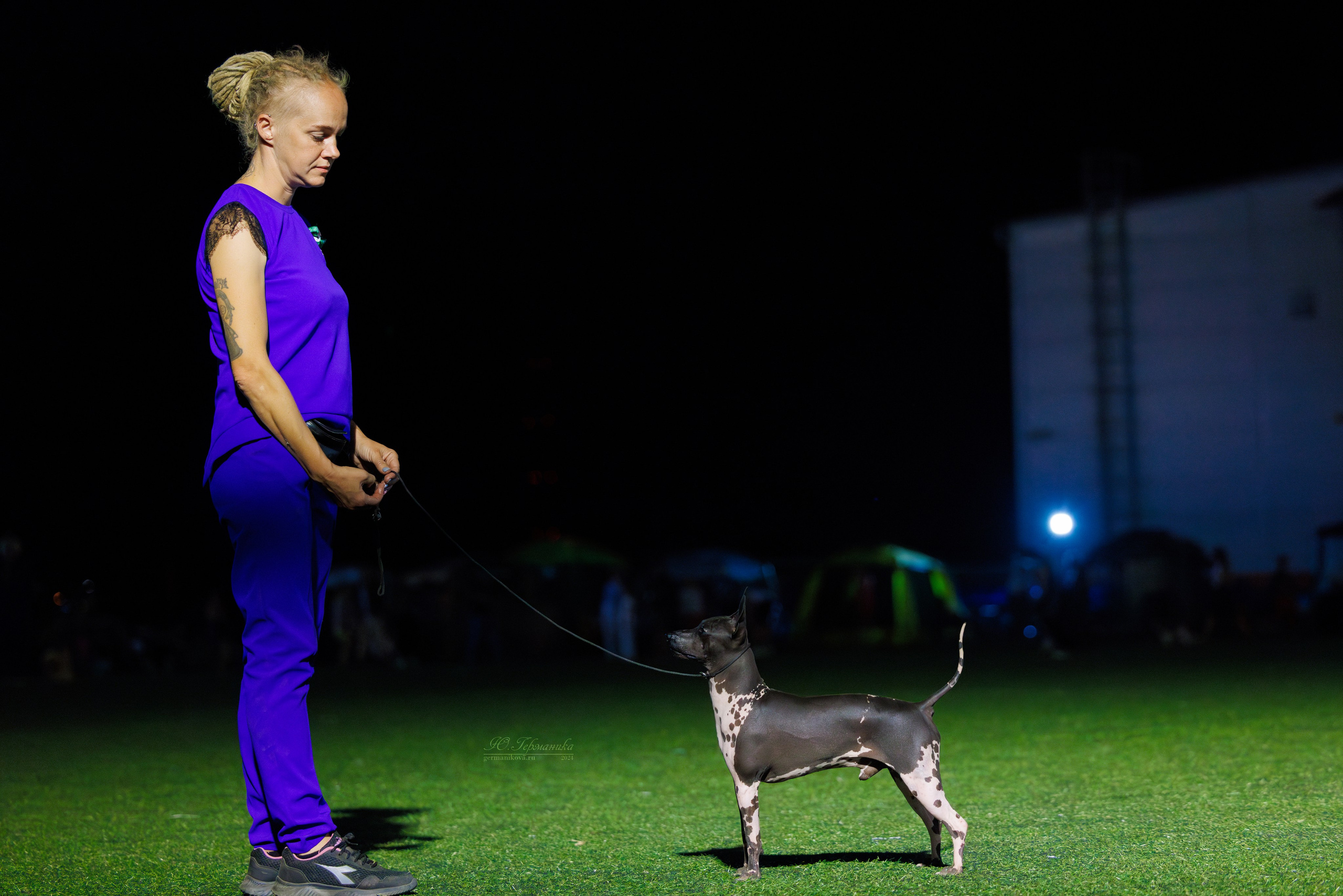 Волгоград 2-4.08.2024. Фотограф-анималист Юлия Германика