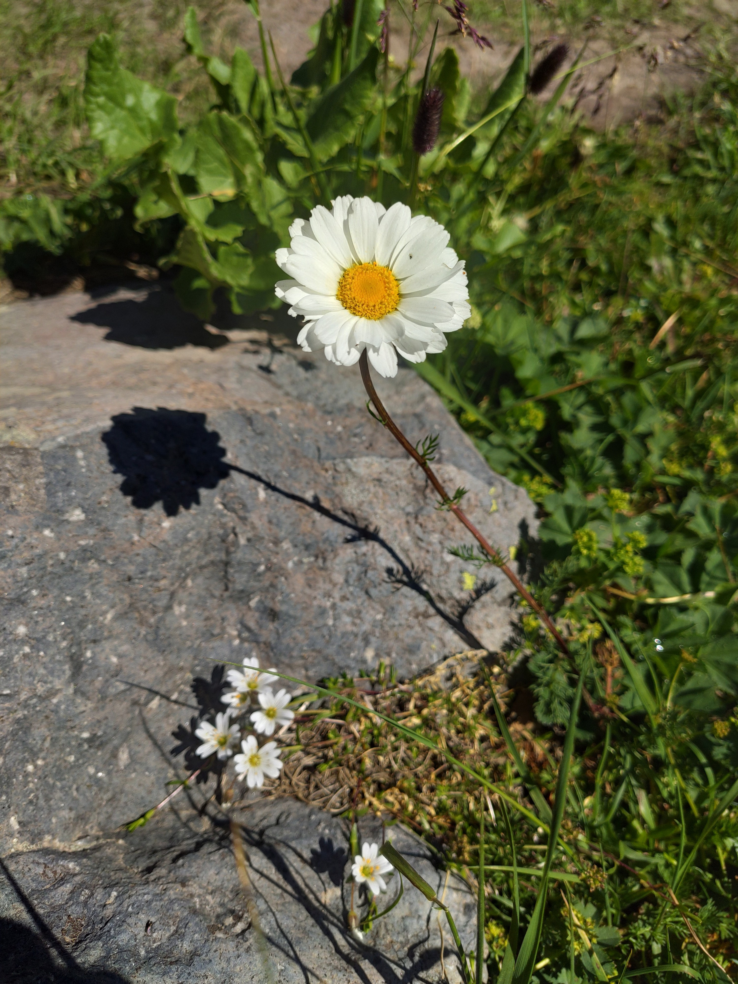 Ресурсы. Контент-фотограф Рязань/Москва/Санкт-Петербург/Сочи Елена Сазонтова