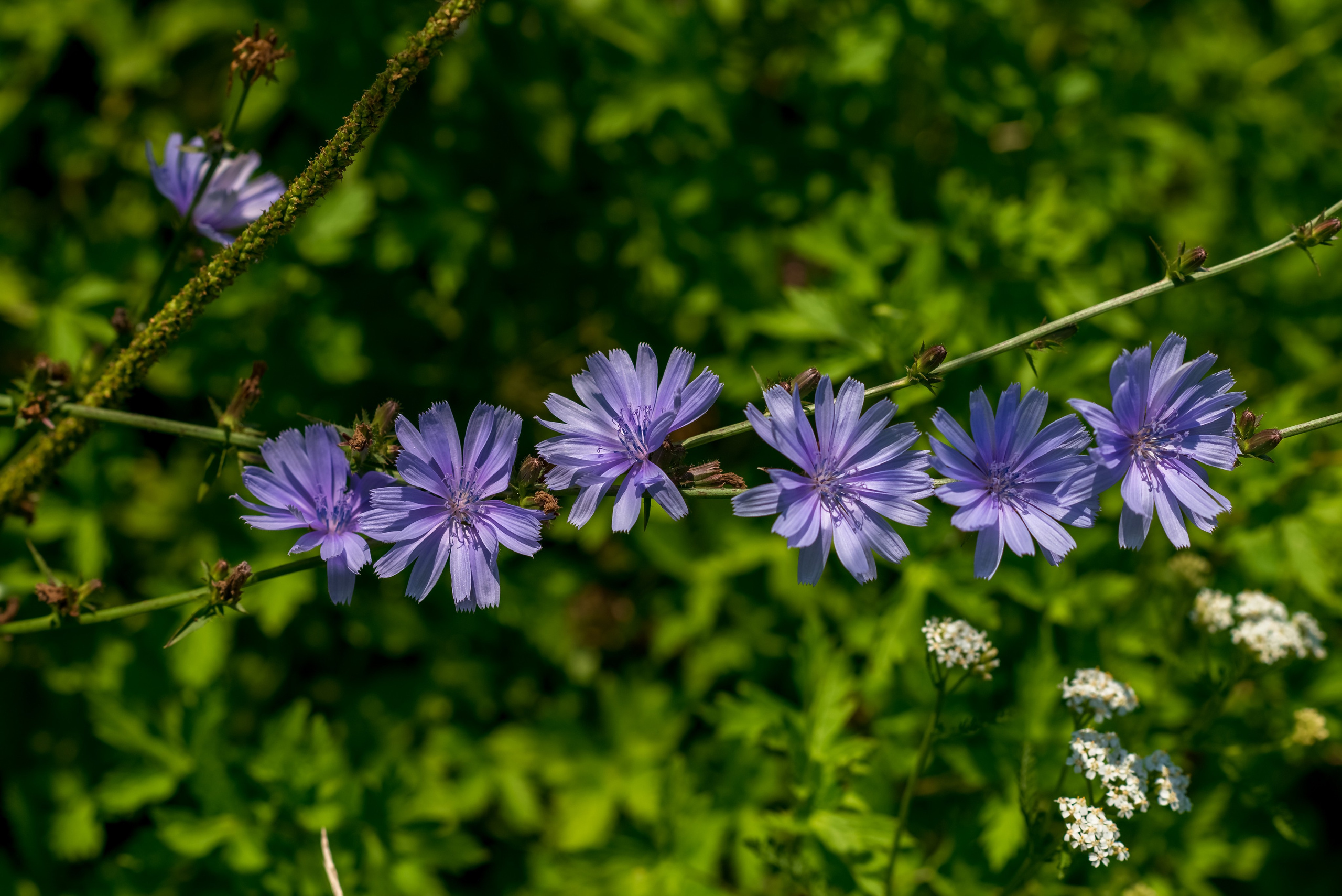 Деревня Барышье. Женский фотограф Крещение Венчание Москва Брянск