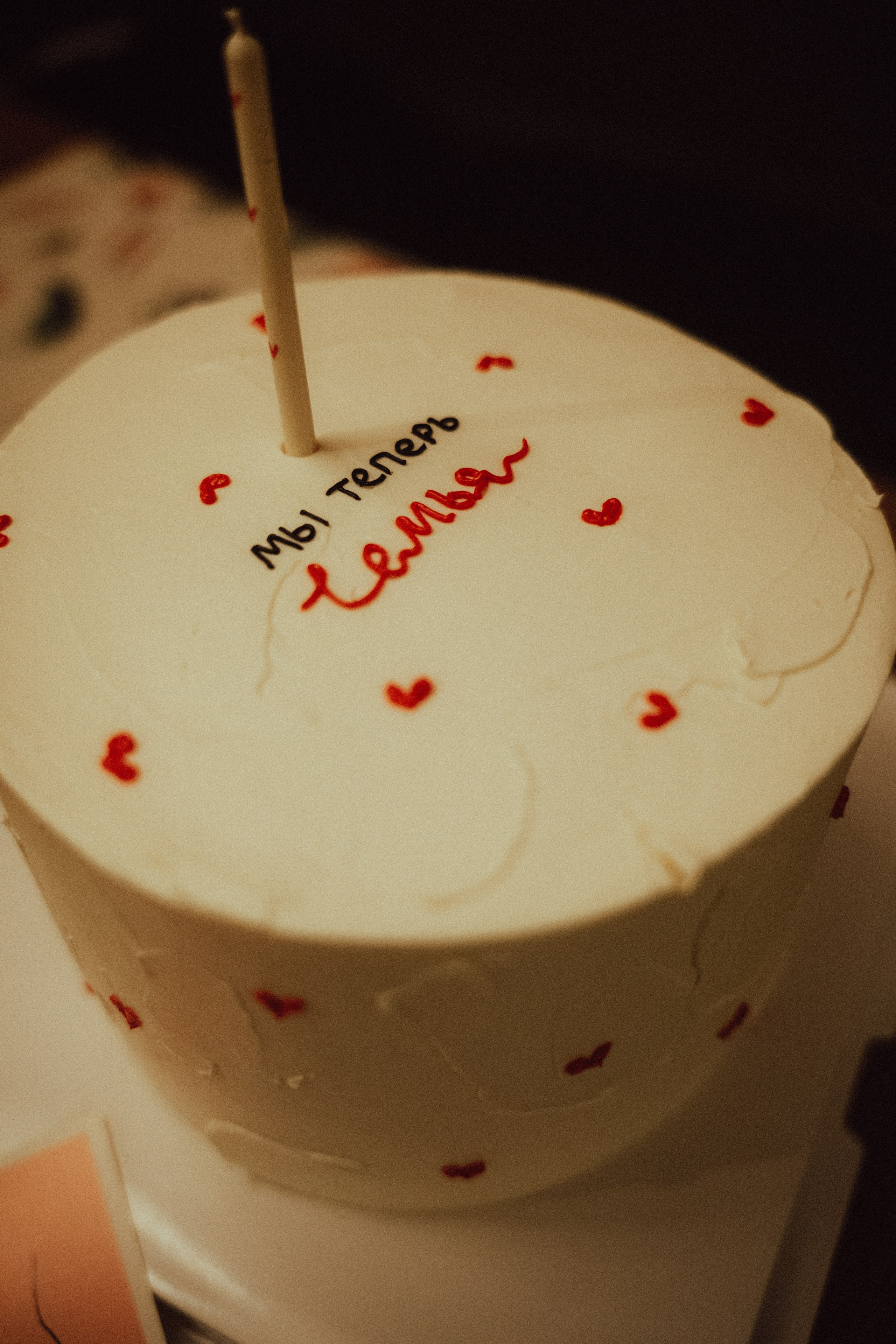 Мы теперь семья. Фотограф и видеограф Мария Банщикова, Солнечногорск, Москва