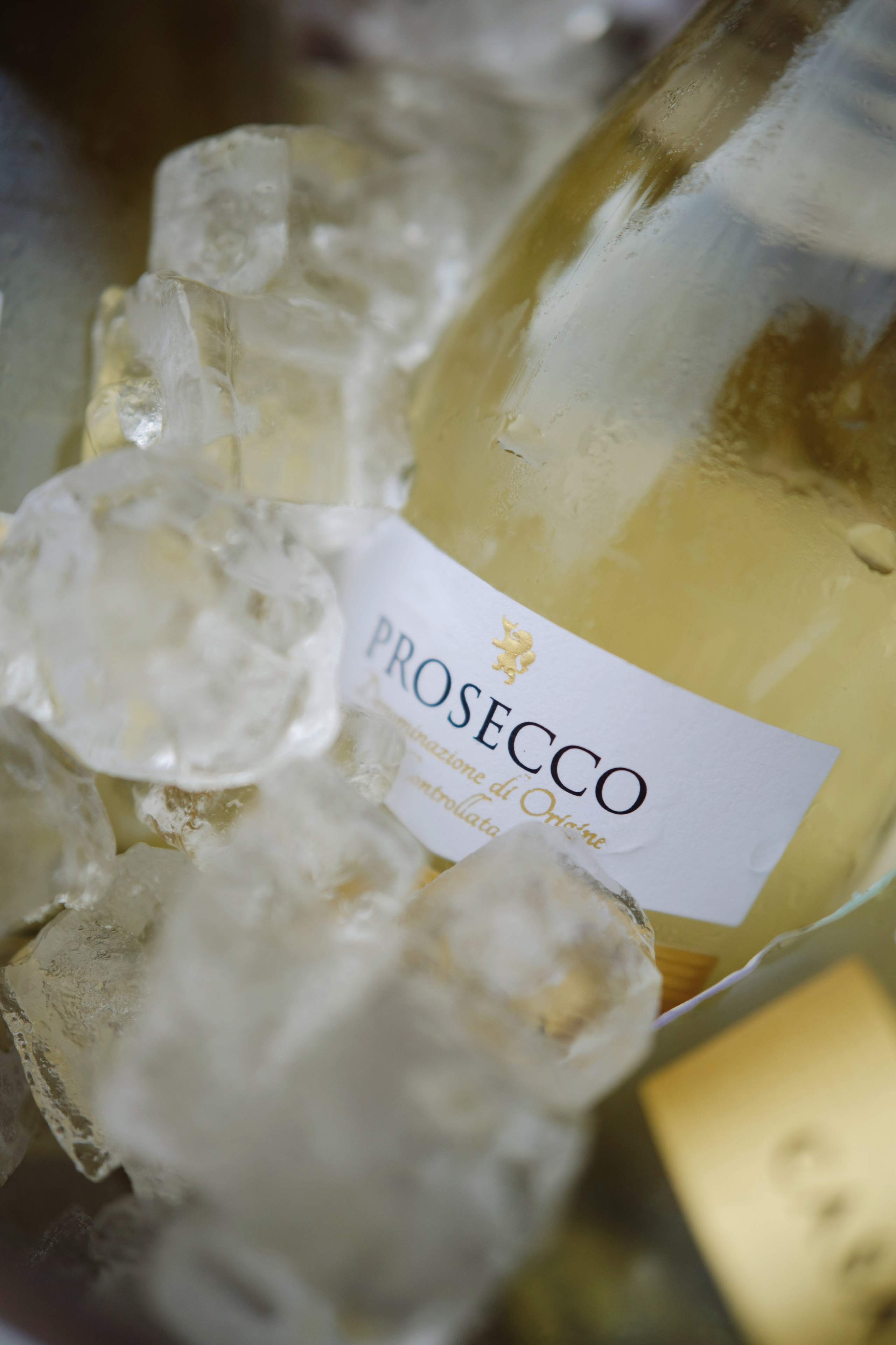 Виктор и Яна. Фотограф Елена Маринина Москва