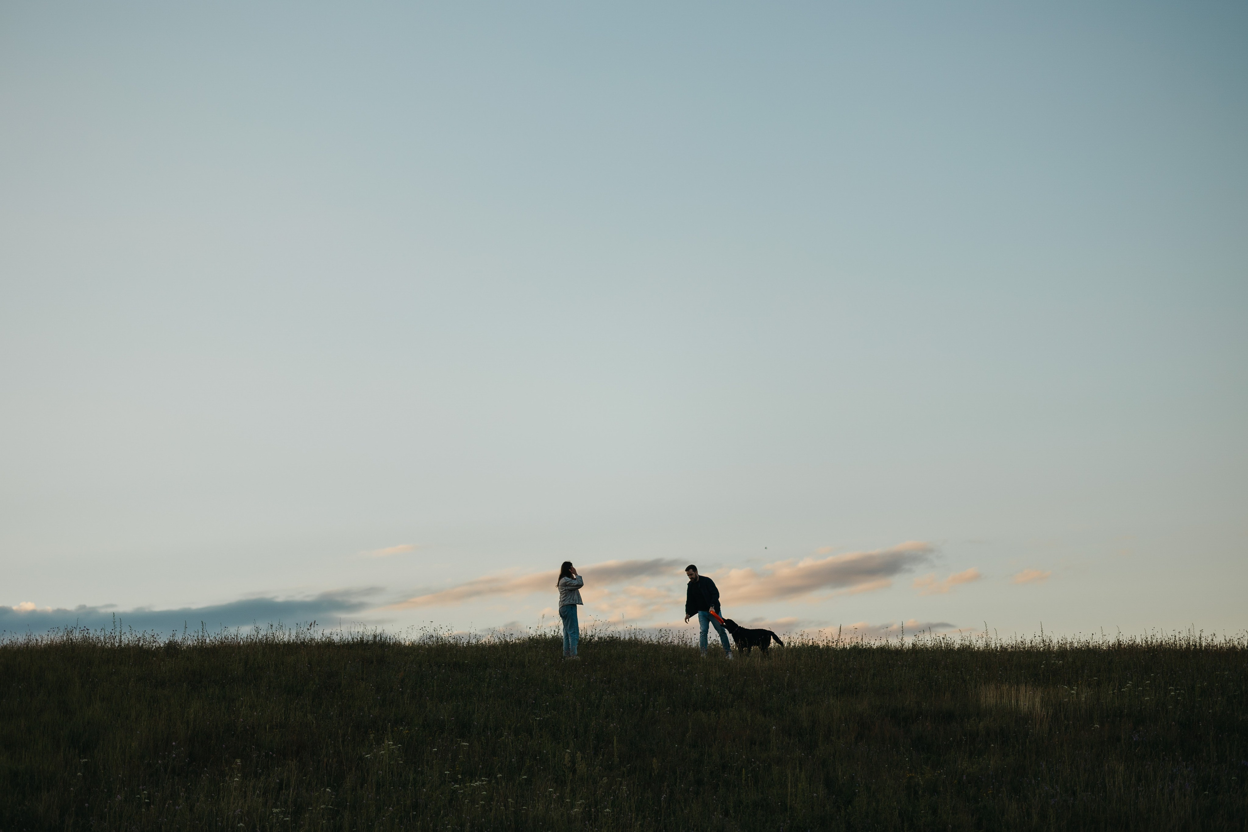 Бомбей и его семья. Фотограф — Анималист | Санкт-Петербург