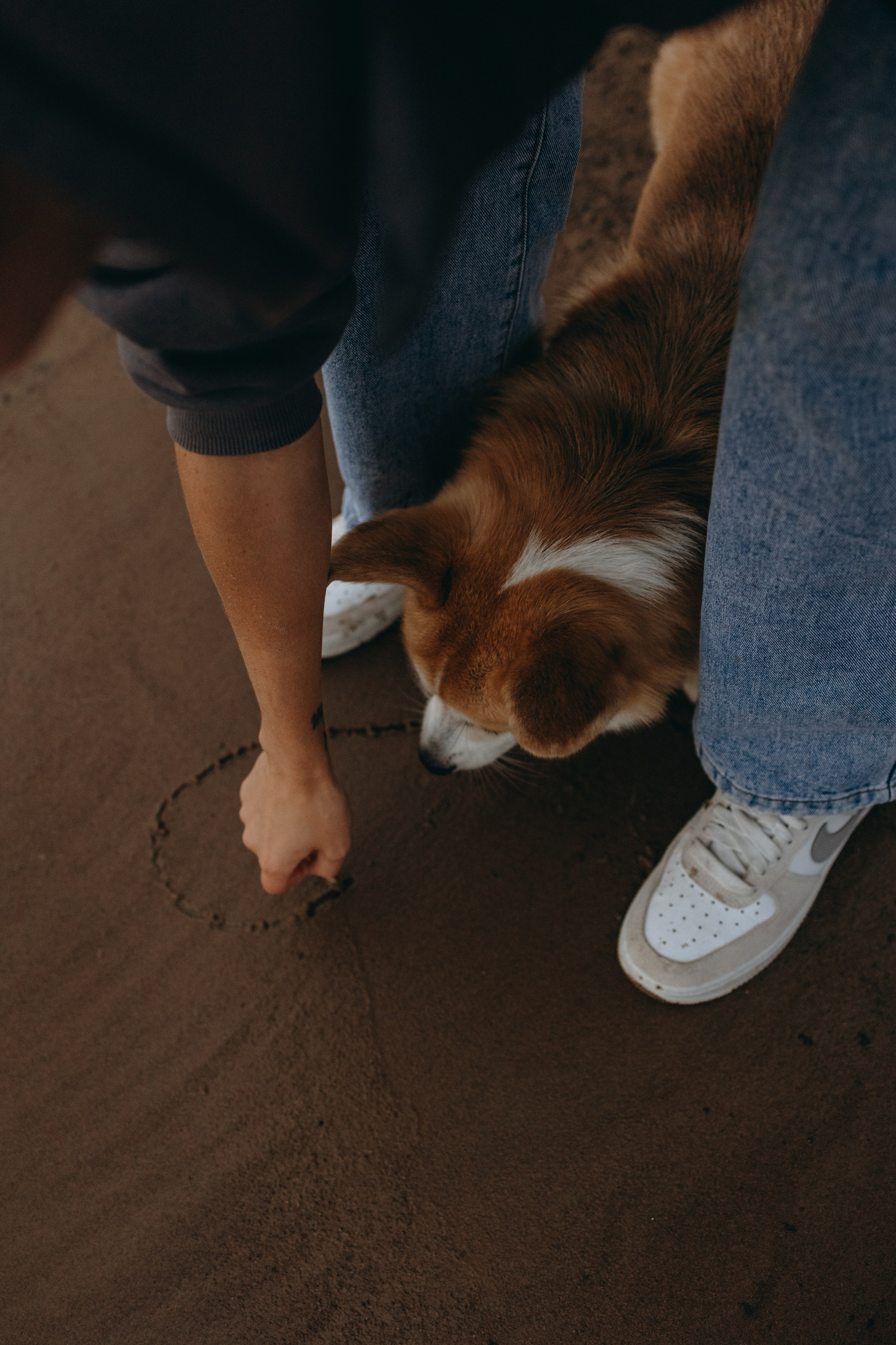 Лиза и Бакс. Фотограф — Анималист | Санкт-Петербург