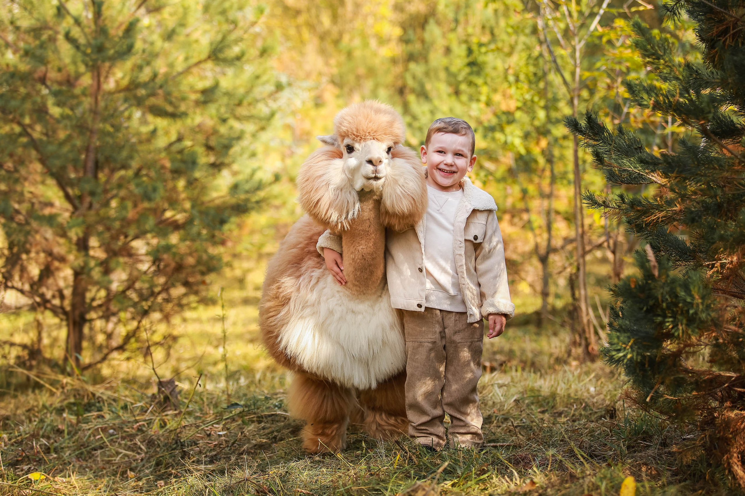 Фотосессии с альпакой Мартином и ламой Микси. Семейный и детский фотограф в Москве Мария Быкова