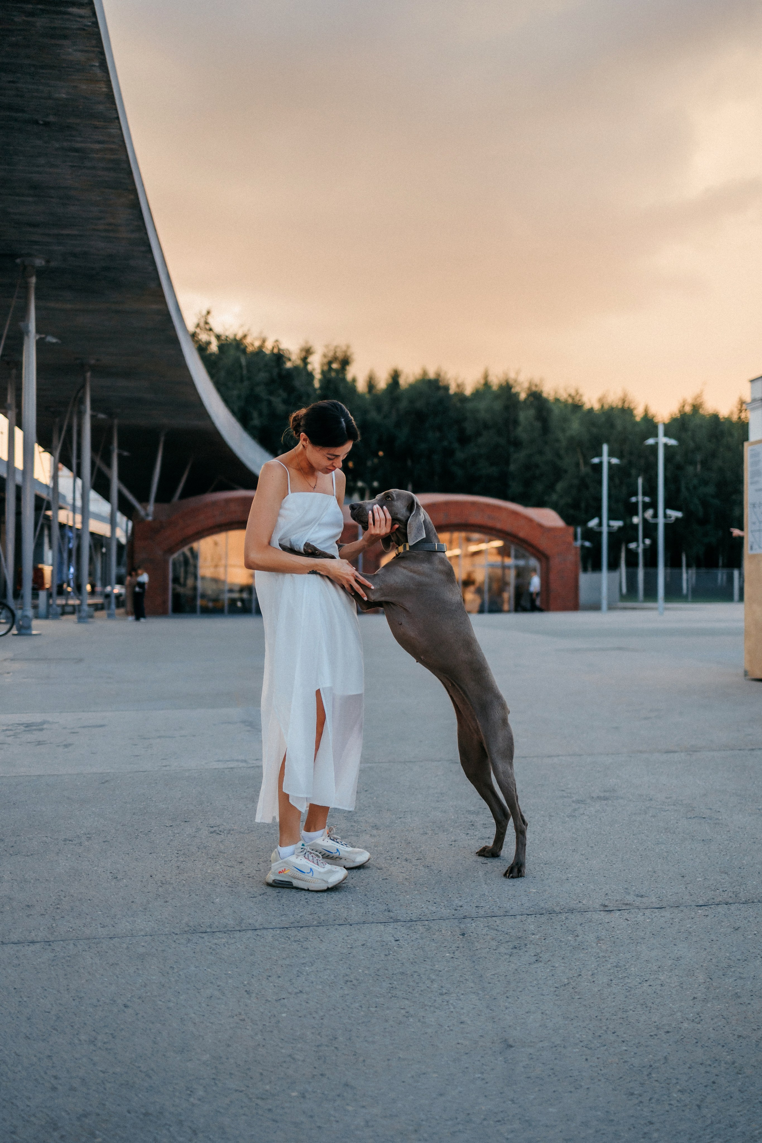 Соня и Майли. Фотограф-анималист Елена Радченко, Москва