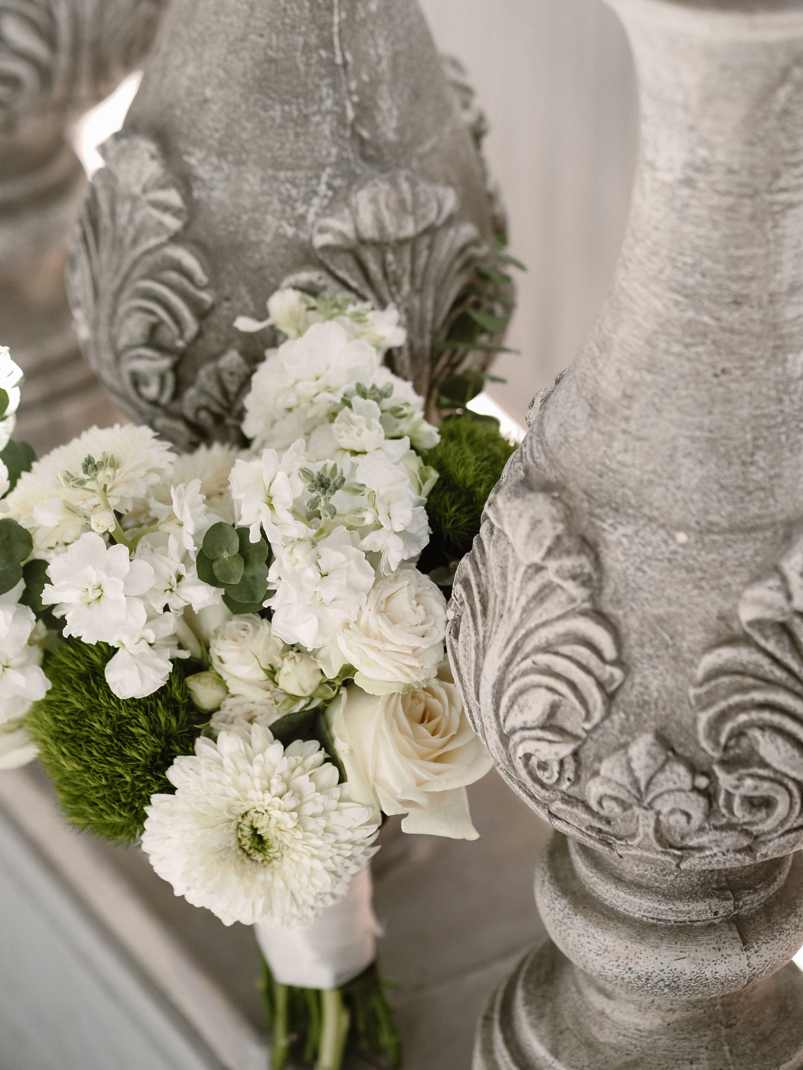 Татьяна и Илья. Фотограф Рязань. Семейный Свадебный фотограф