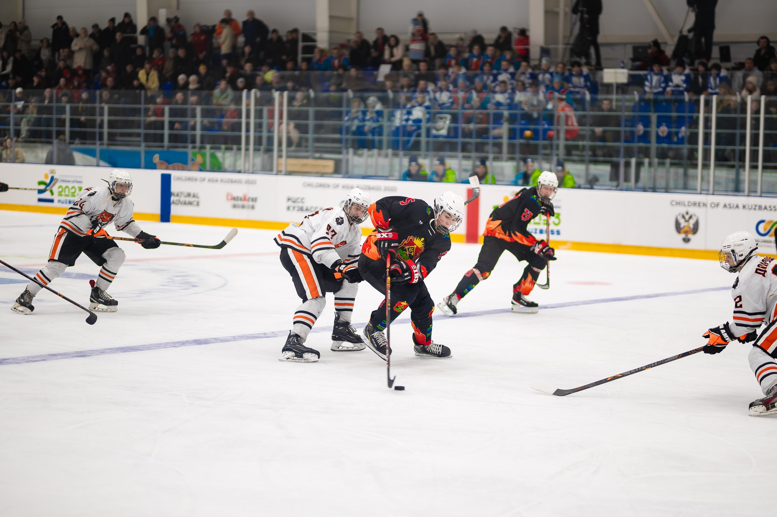 Кузбасс-ДФО. ProfotoNK