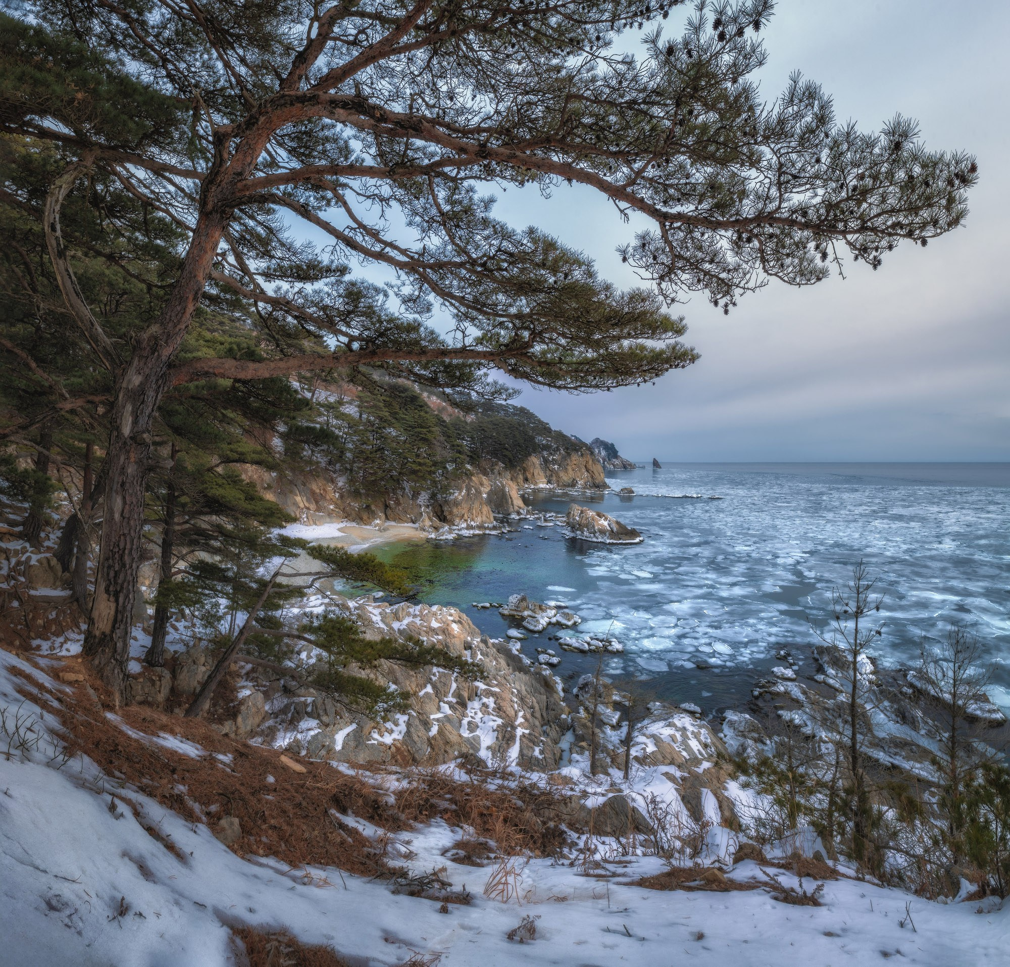 Фотогалерея зимнего Приморья
