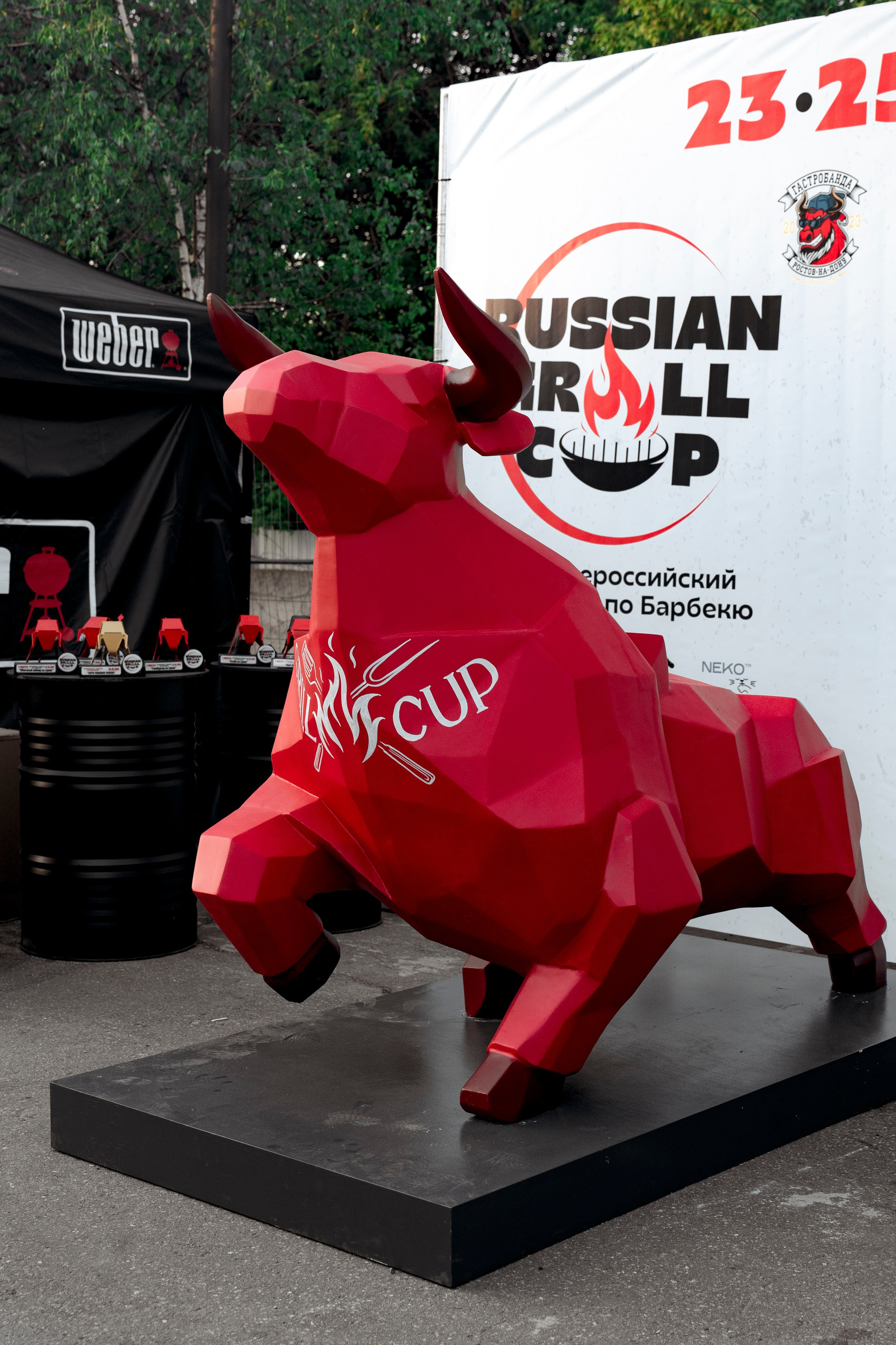 Гриль Фест 2025. Свадебный фотограф Москва