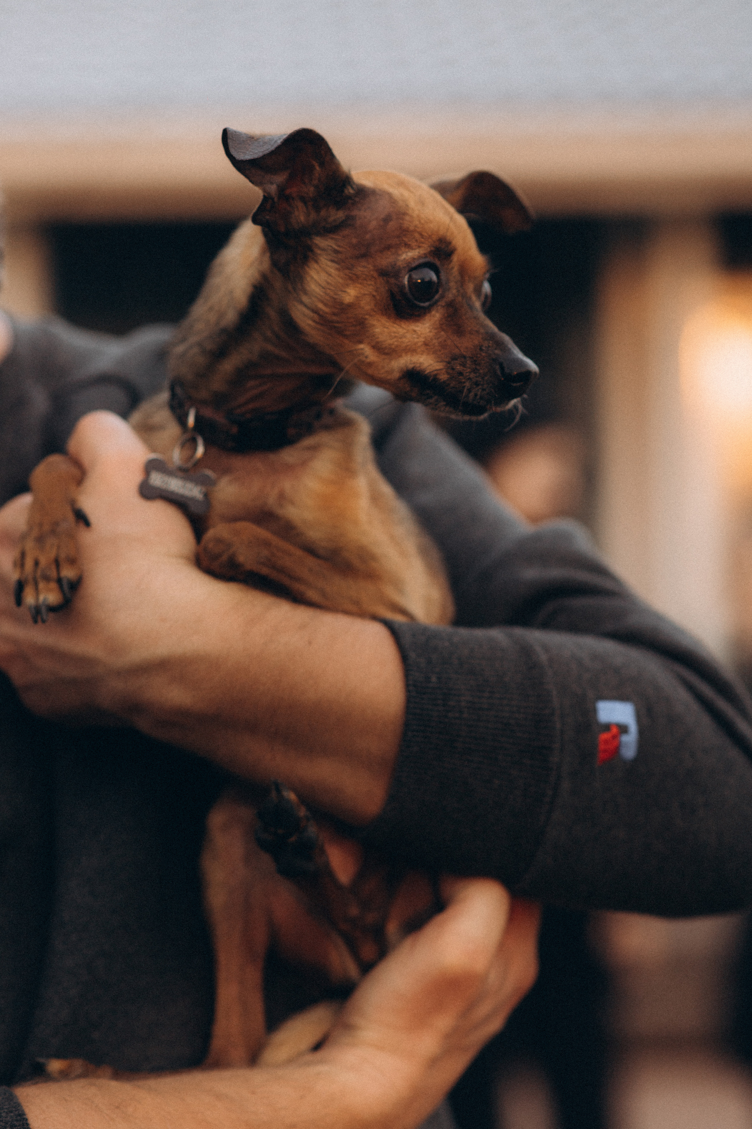 Барбекю. Снимаю истории про вас. Фотограф Наталья Кац