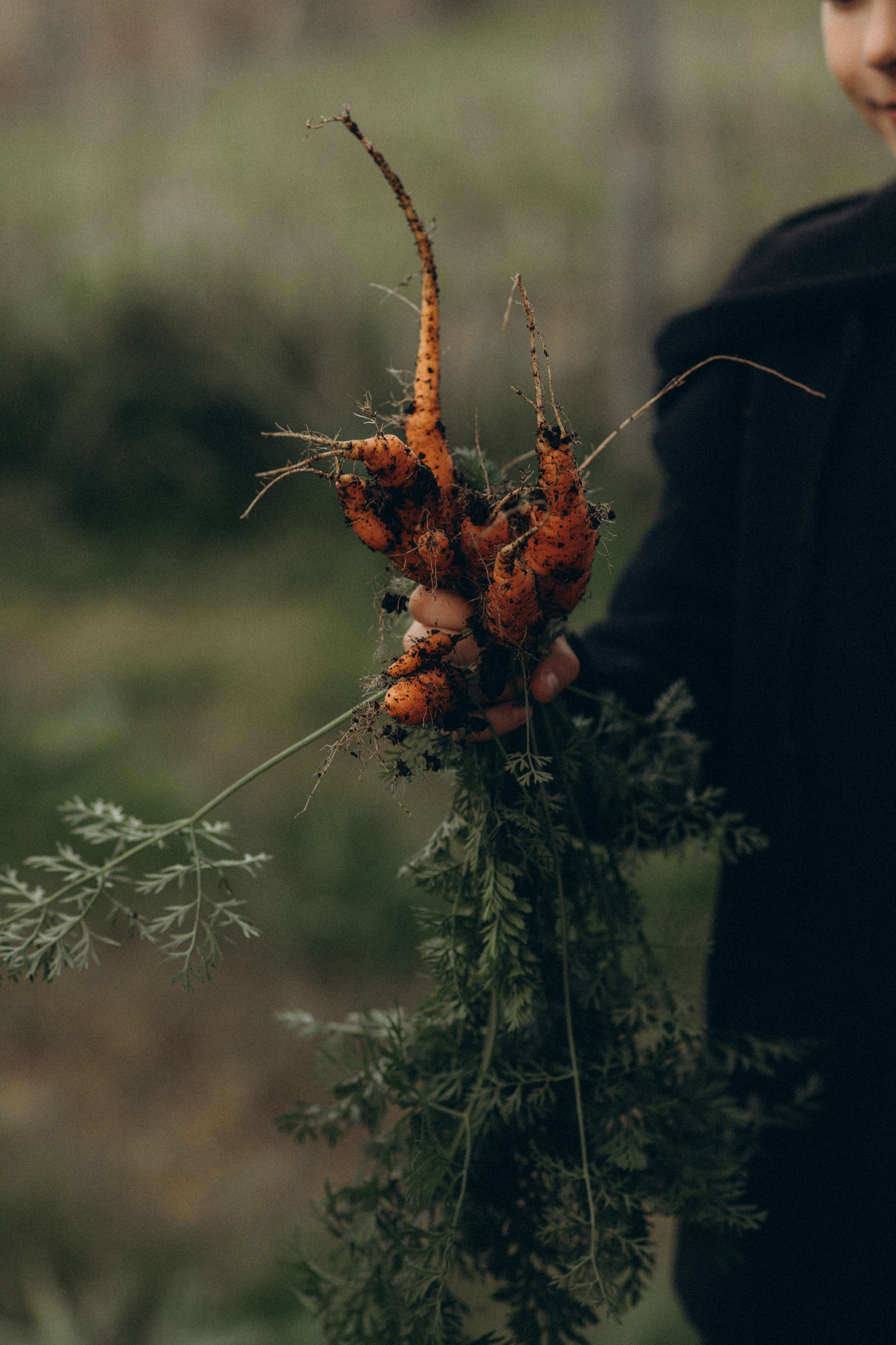 Барбекю. Снимаю истории про вас. Фотограф Наталья Кац