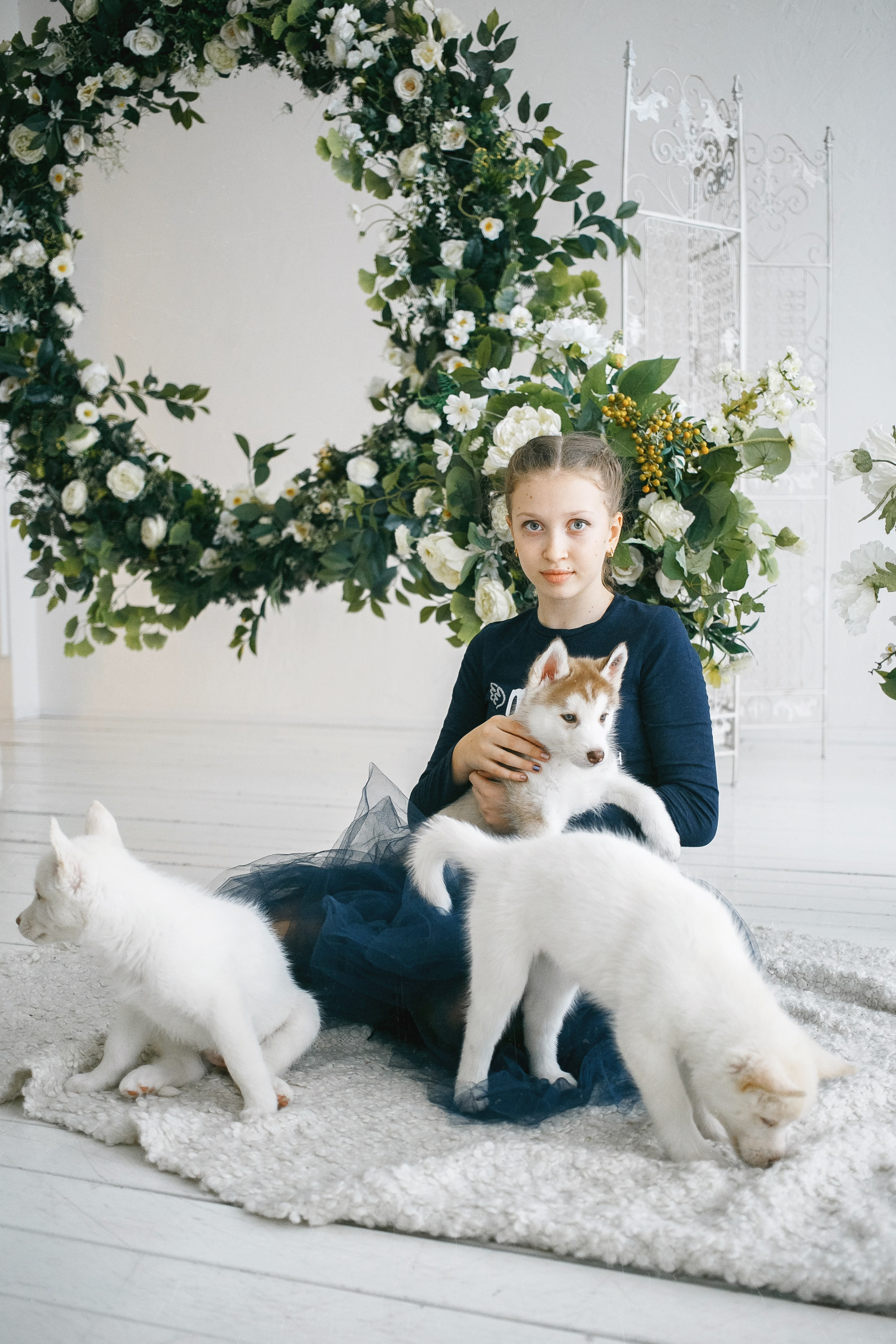 Весенняя фотосессия с щенками Хаски. Фотограф Сергей Логинов