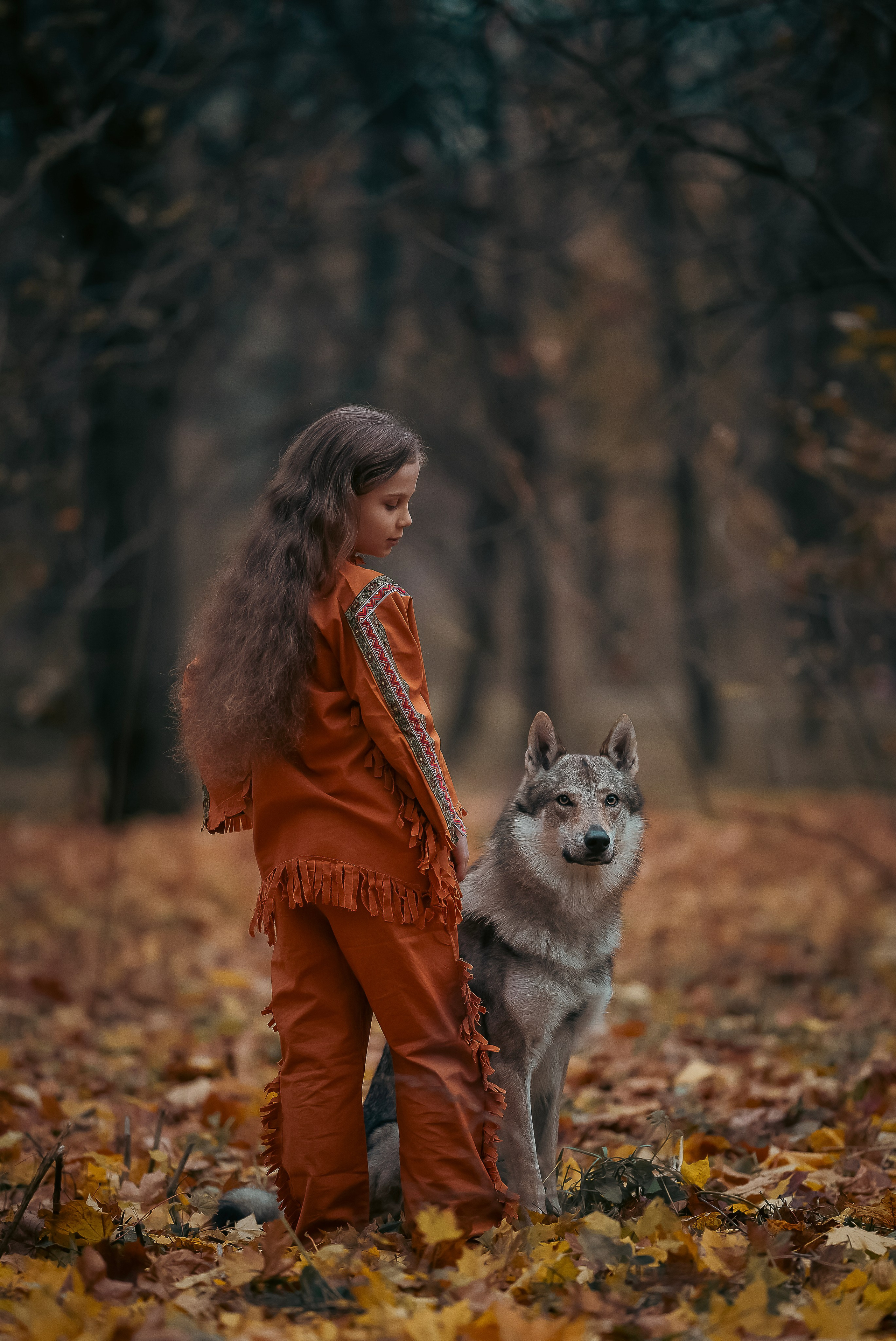 Волки. Профессиональный фотограф в Москве Марина Григорьева
