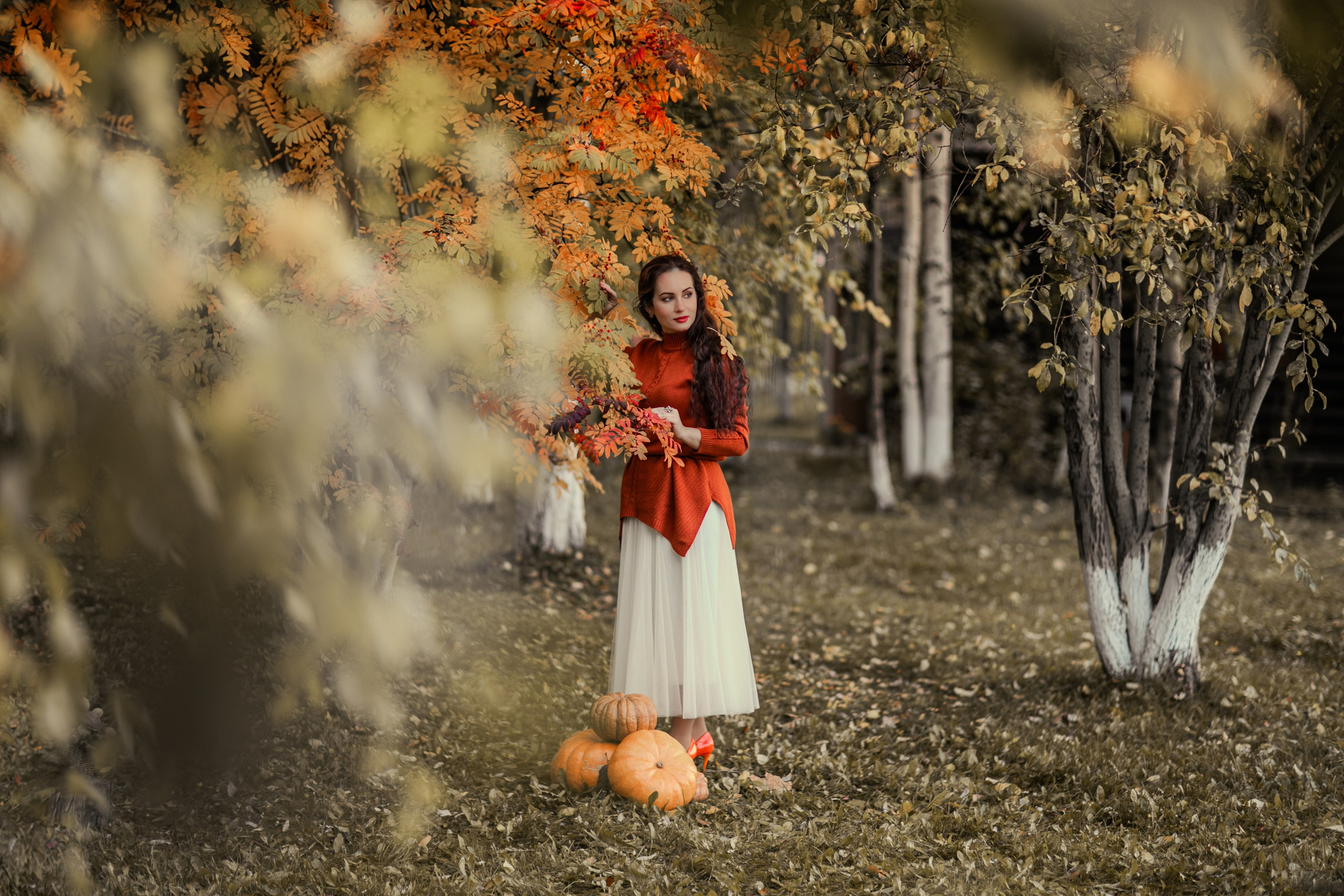 Очарование октября. Фотограф Елена Вишневская (Ушакова) Нефтеюганск, Сургут, Тюмень