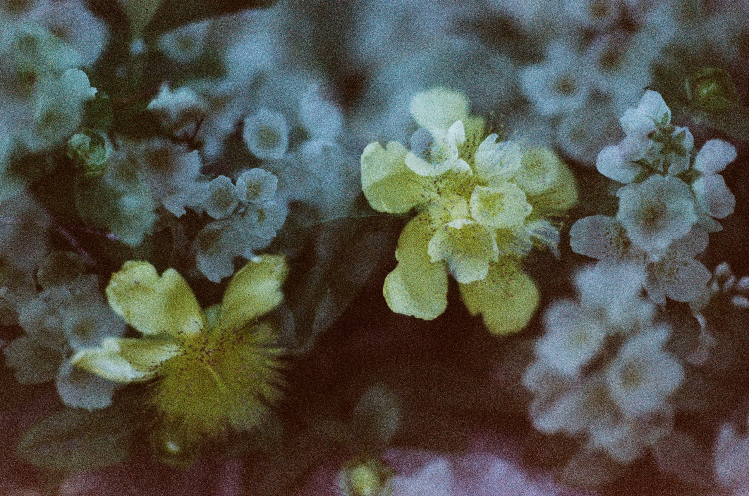 Pain shopping // ukraine, crimea. EVER EXPOSED