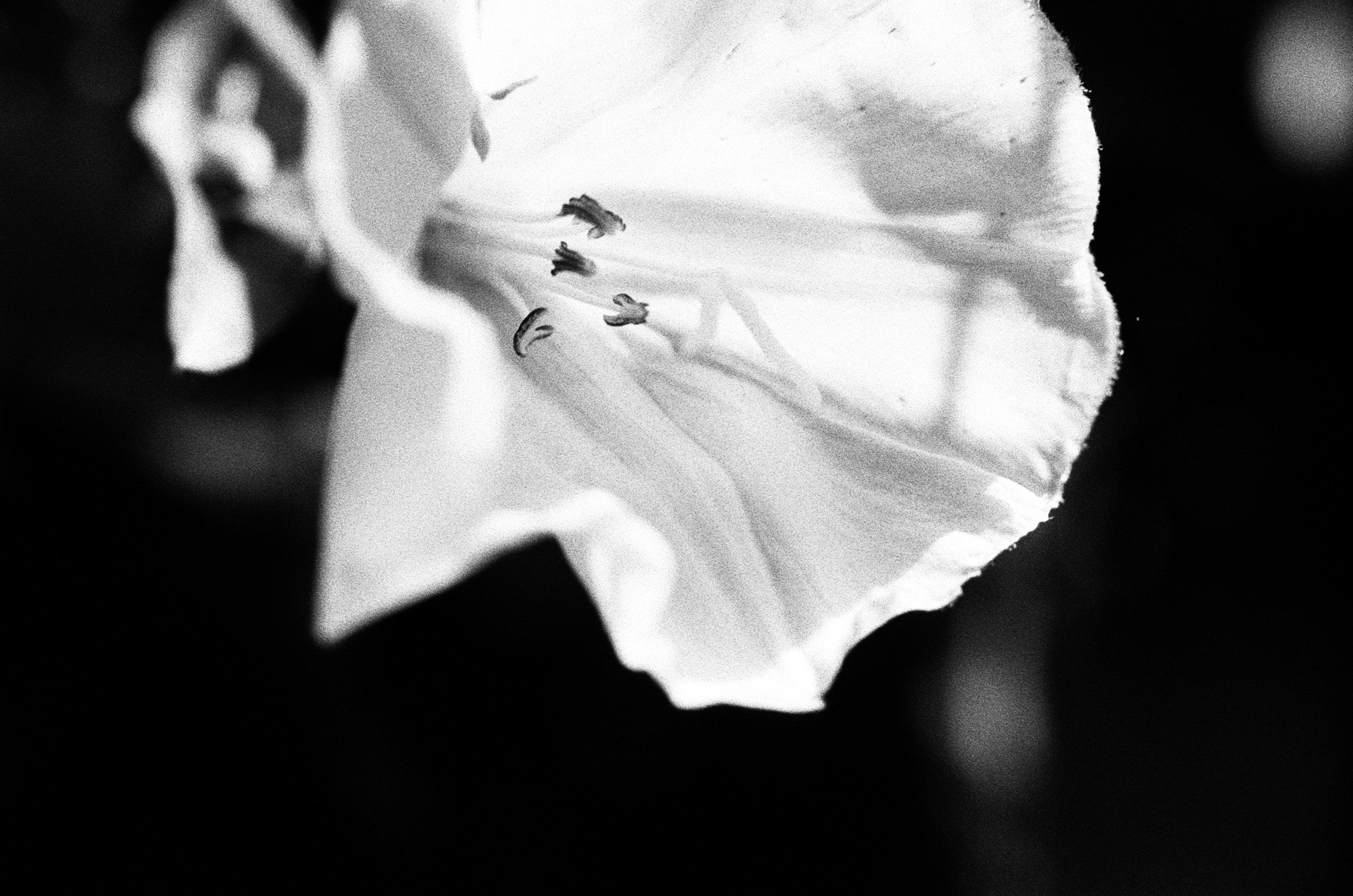 Oblomki chuvstv // ukraine, crimea VII. EVER EXPOSED