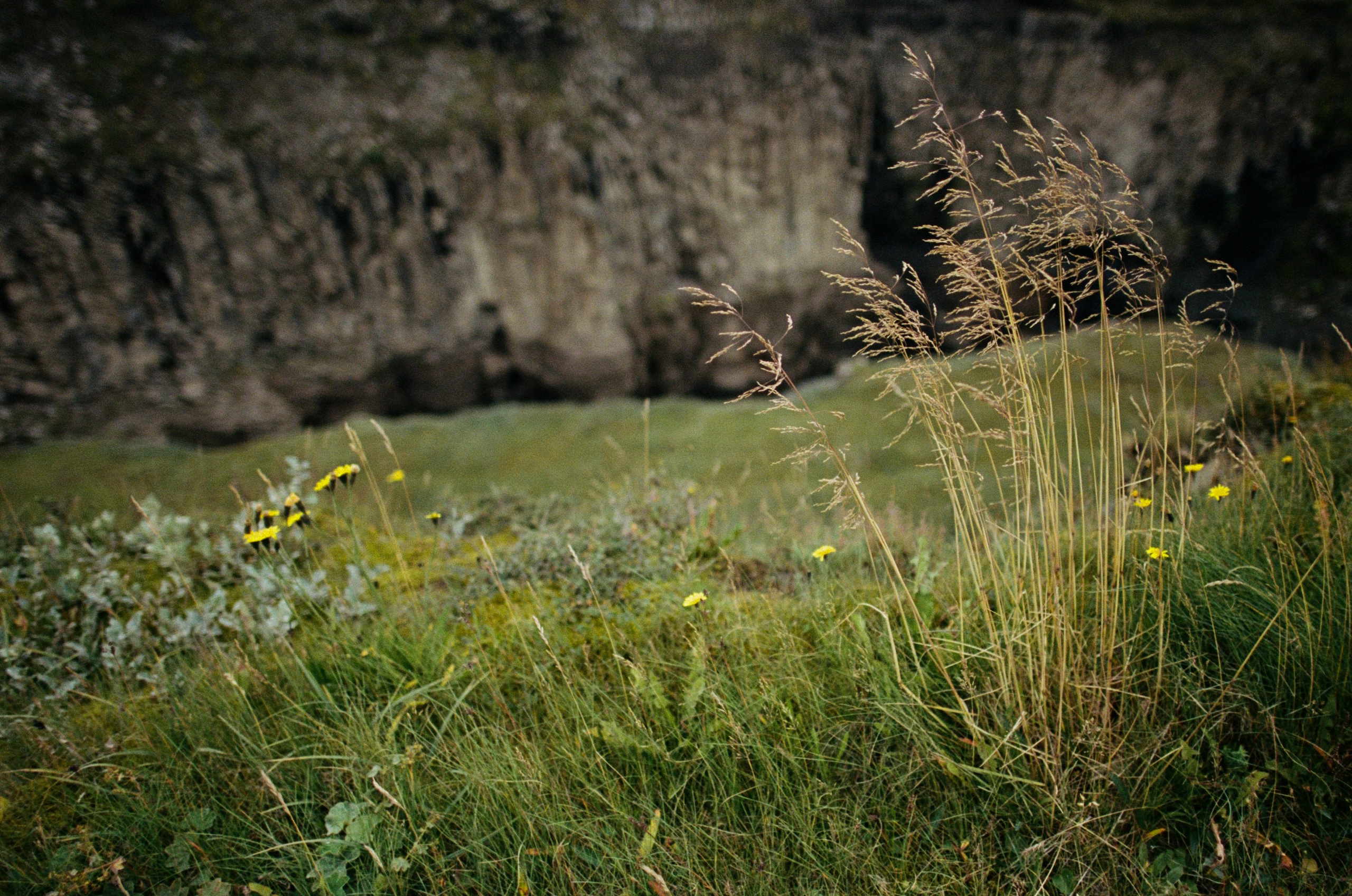 Human // iceland, 35 kjalvegur. EVER EXPOSED