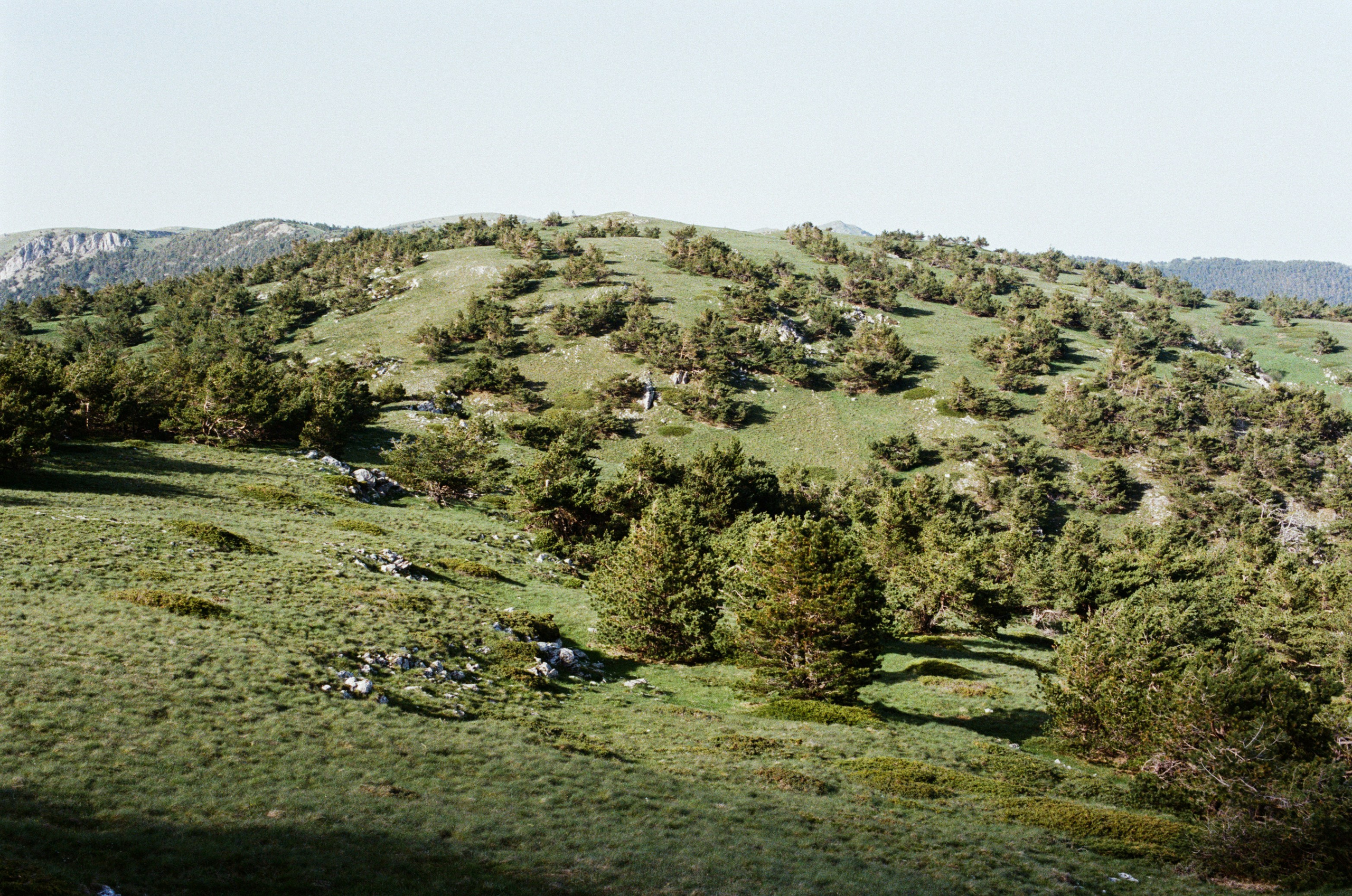 Point of no reply // ukraine, crimea III. EVER EXPOSED