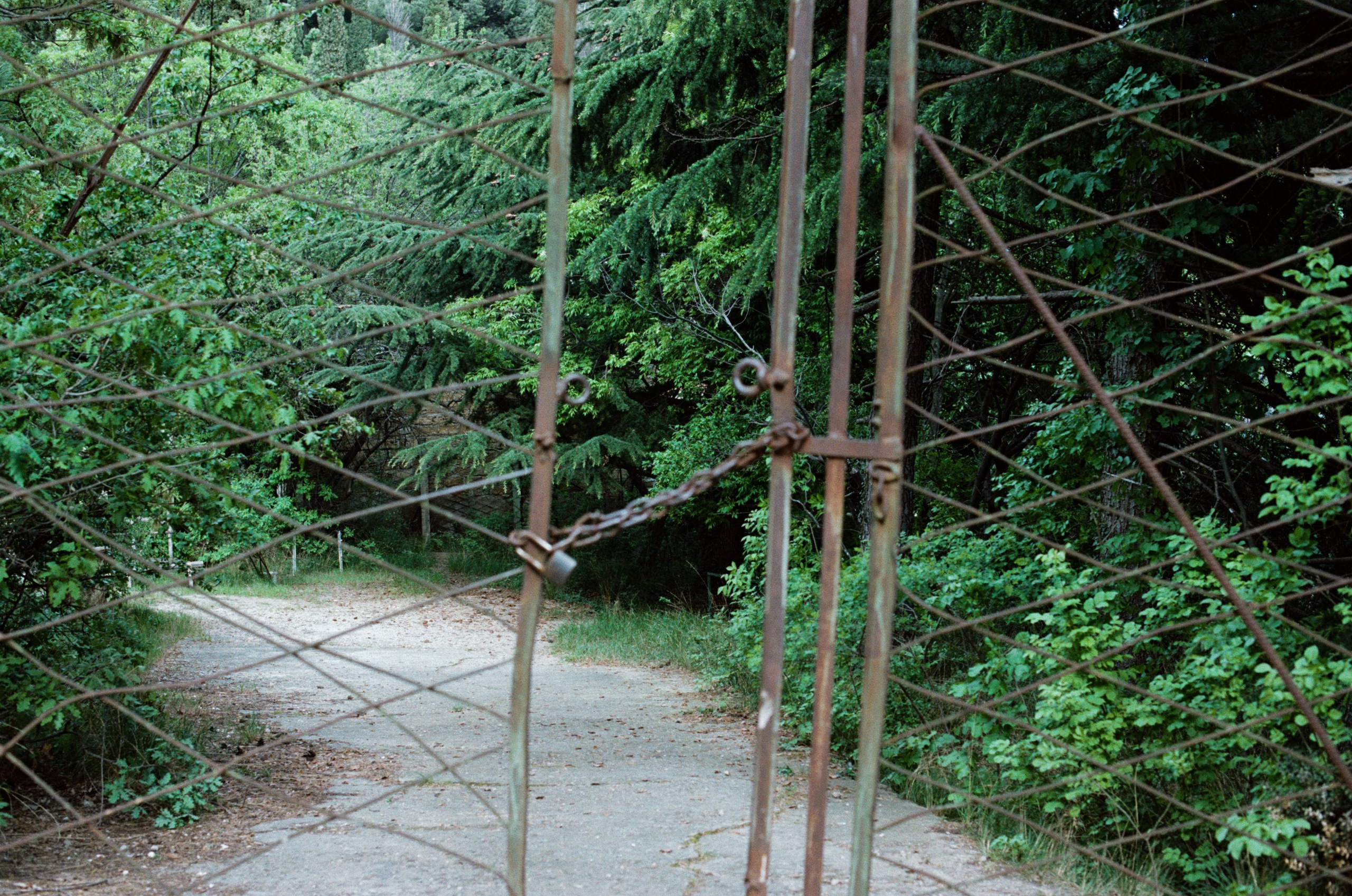 Silver strings // ukraine, crimea. EVER EXPOSED