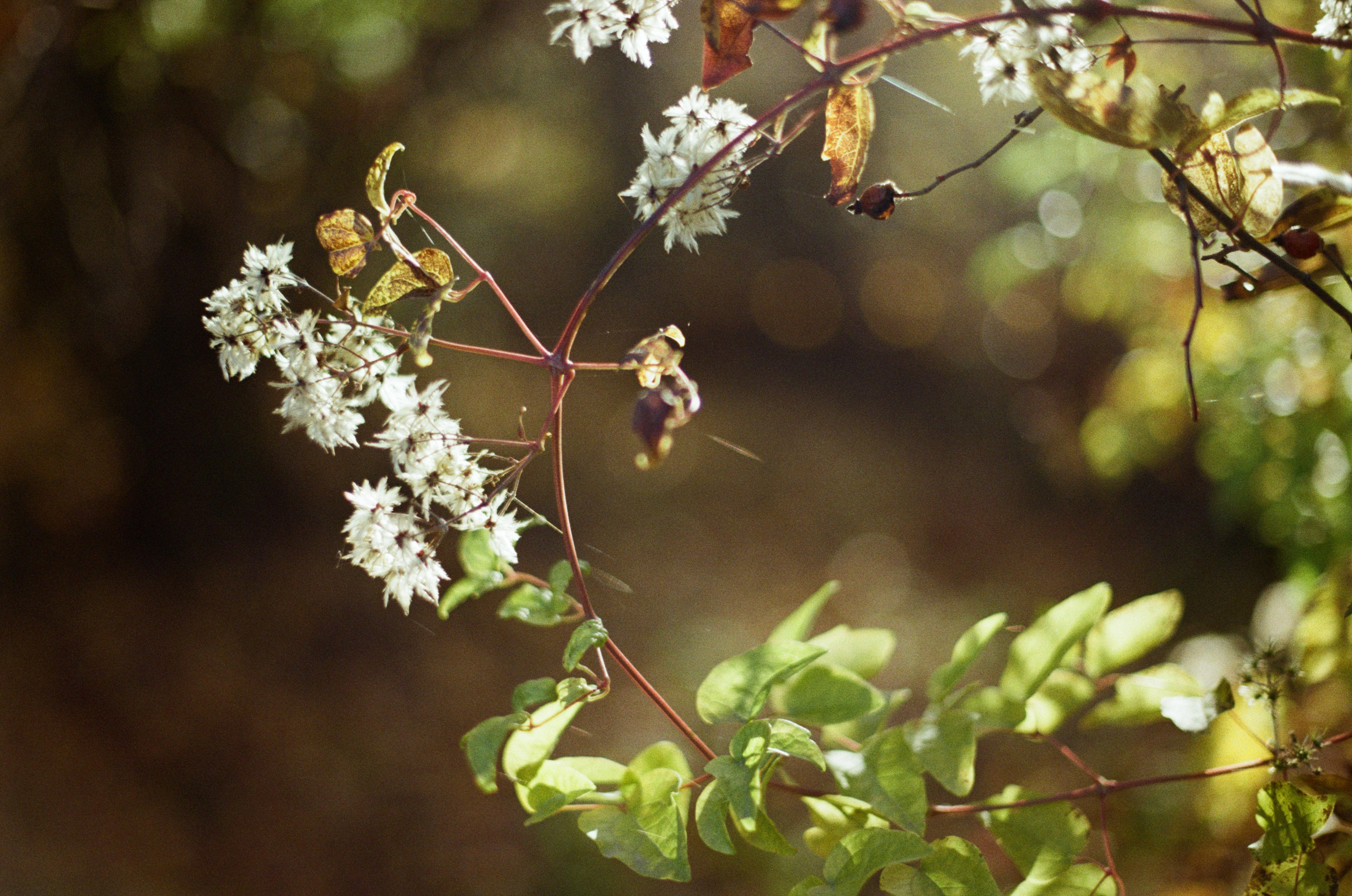 Wherever you will go // ukraine, crimea IV. EVER EXPOSED