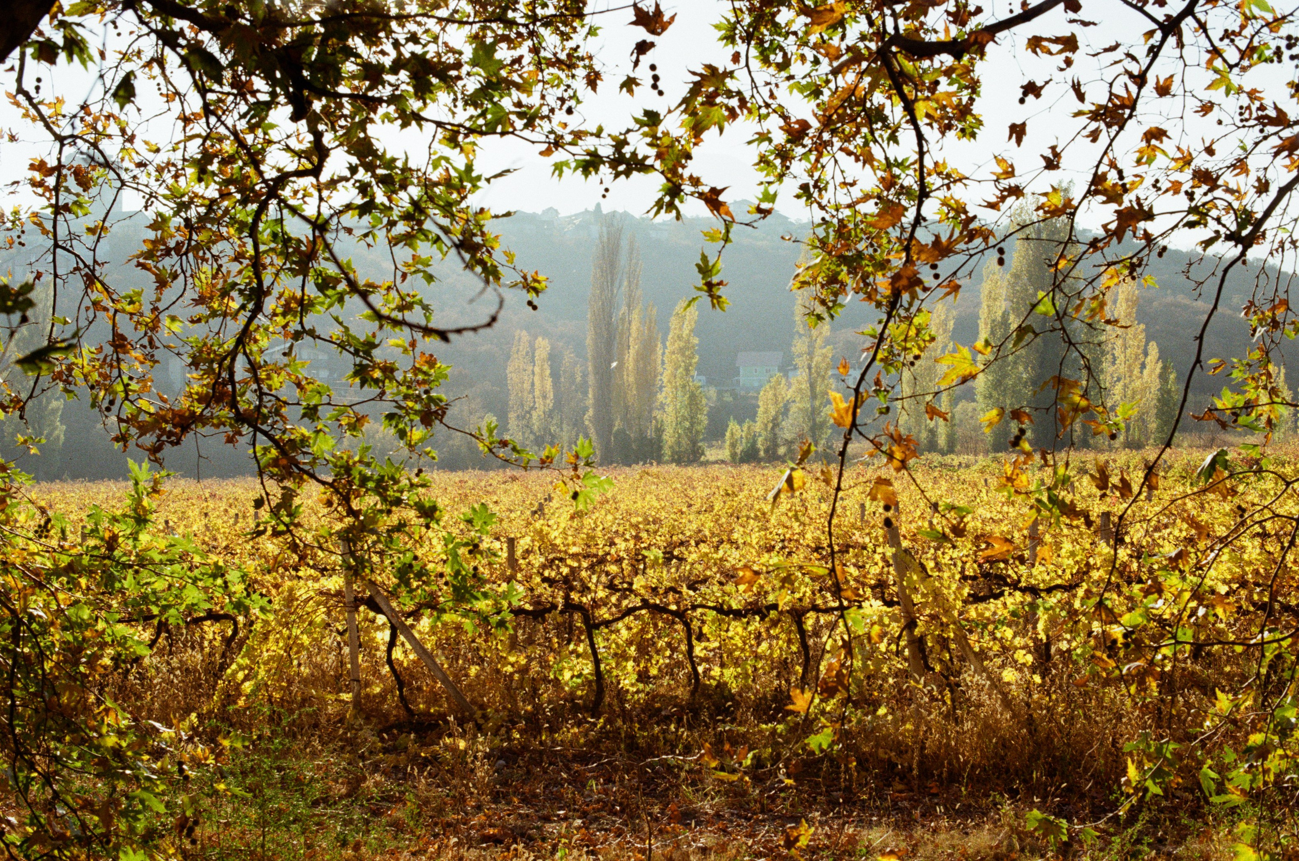Wherever you will go // ukraine, crimea IV. EVER EXPOSED