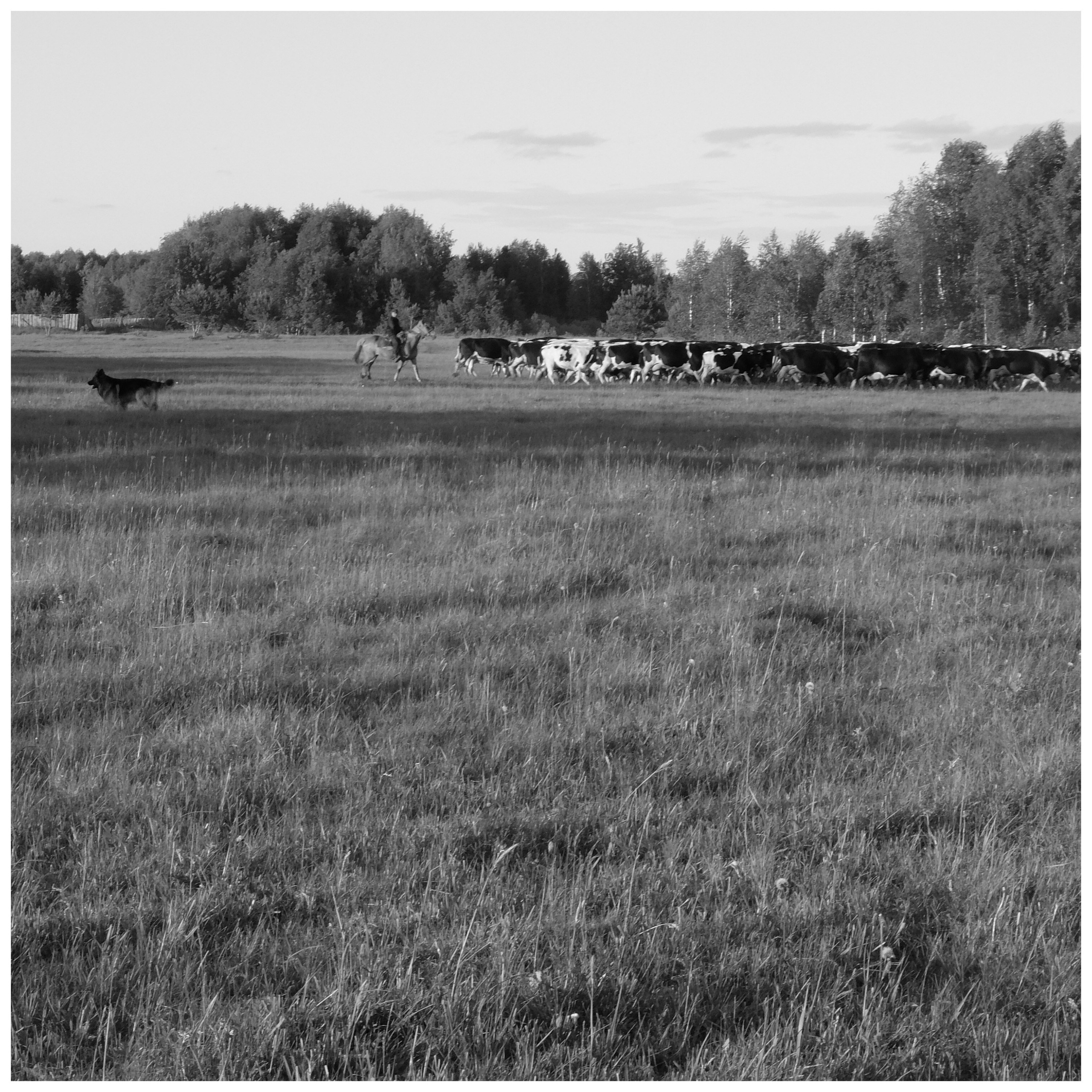 Промежуточные моменты (2022)