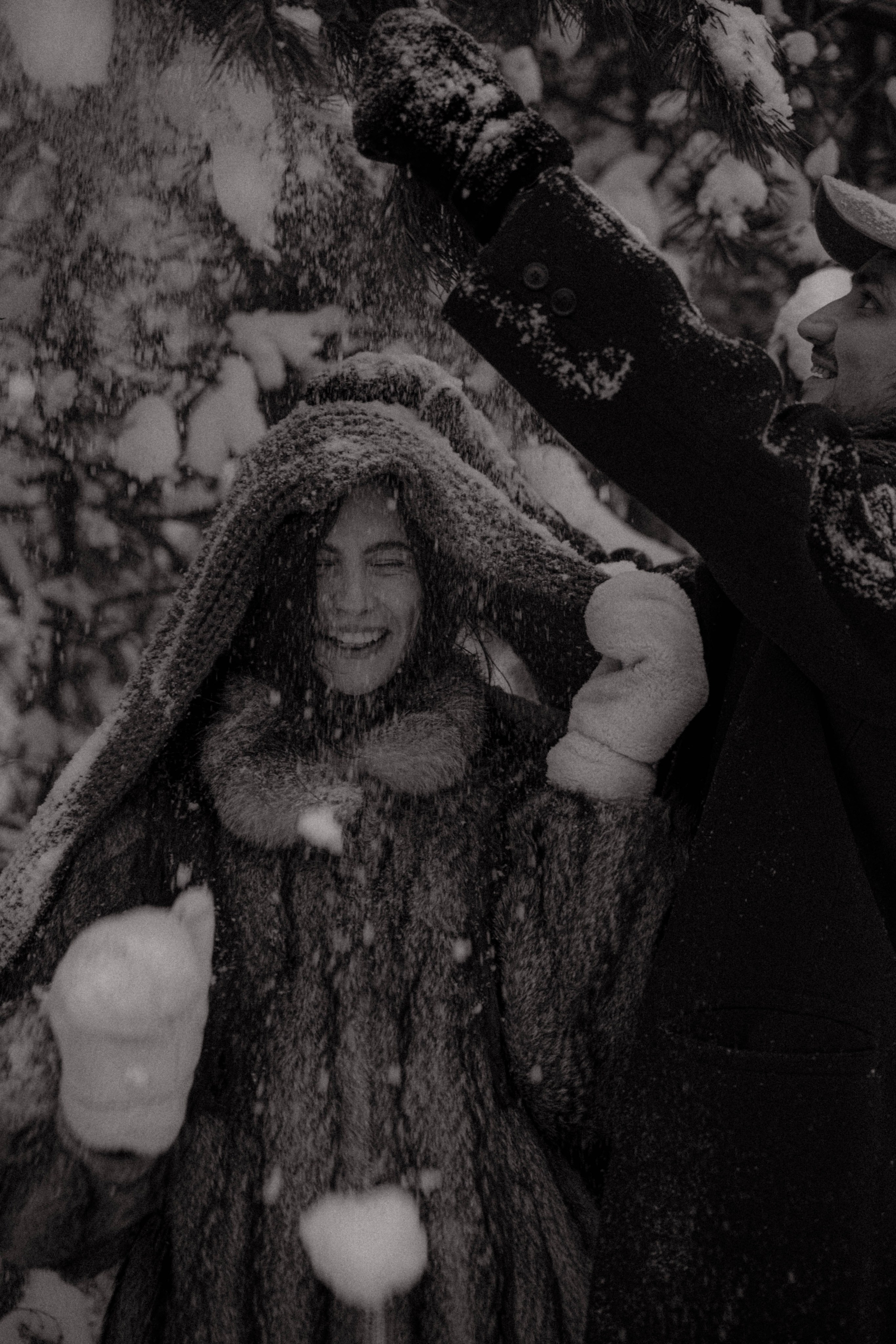 Очень зимние дела. Главная