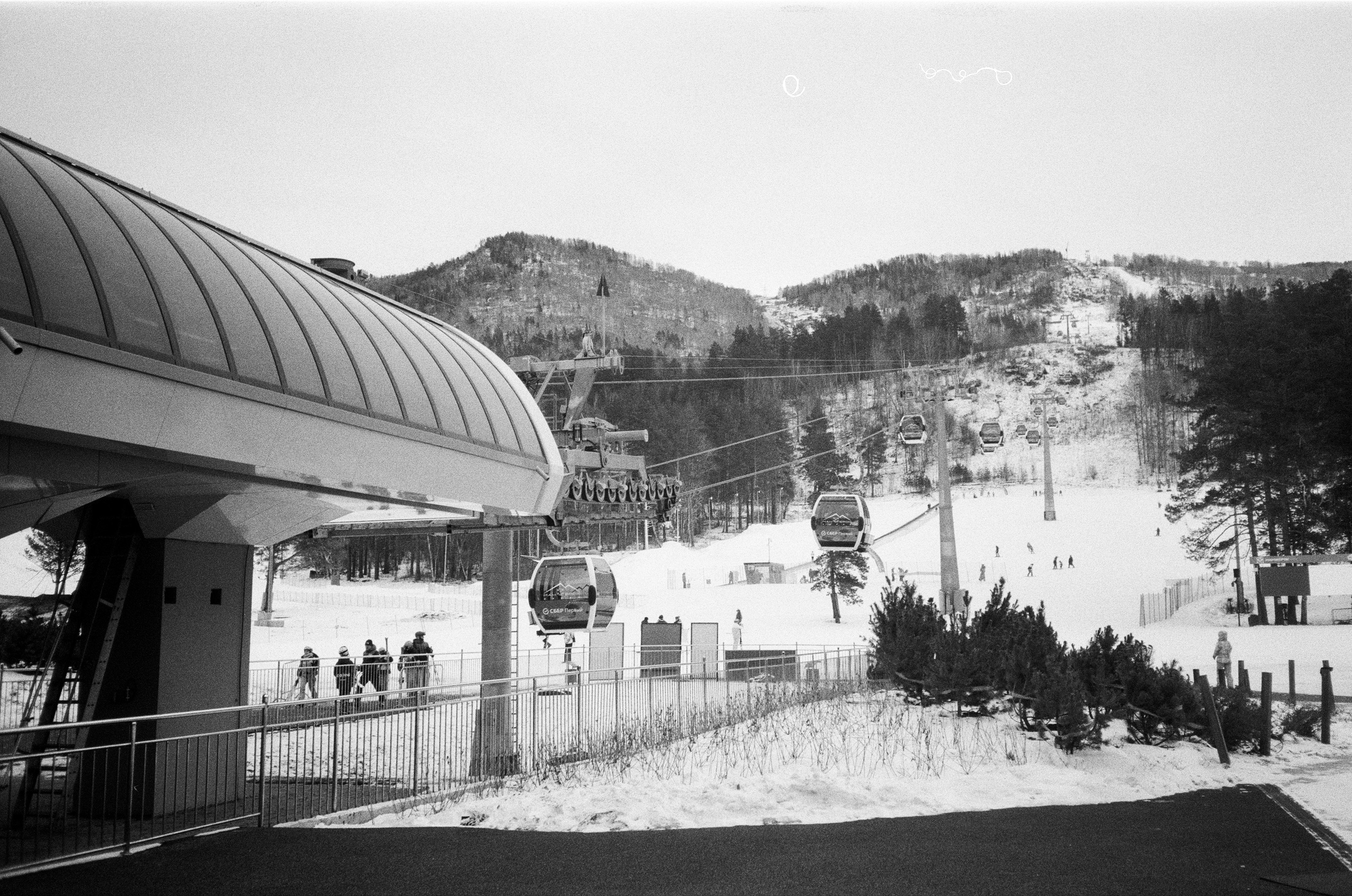 Olympus AF-10 SUPER / Ilford PAN 400 / Алтай, зима 2023 год