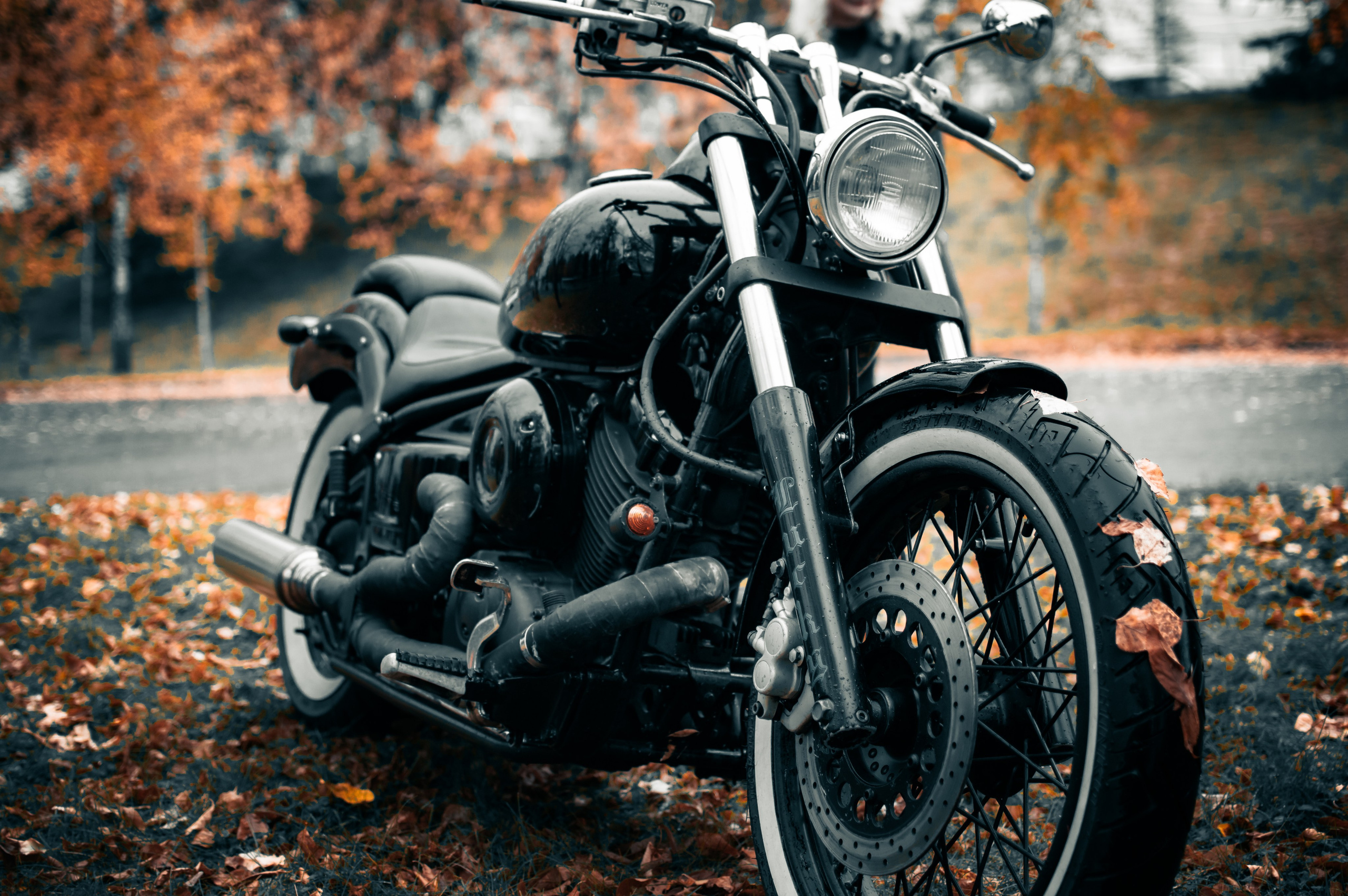 Последние дни осени. G G L V D M T R | Фотограф в Красноярске