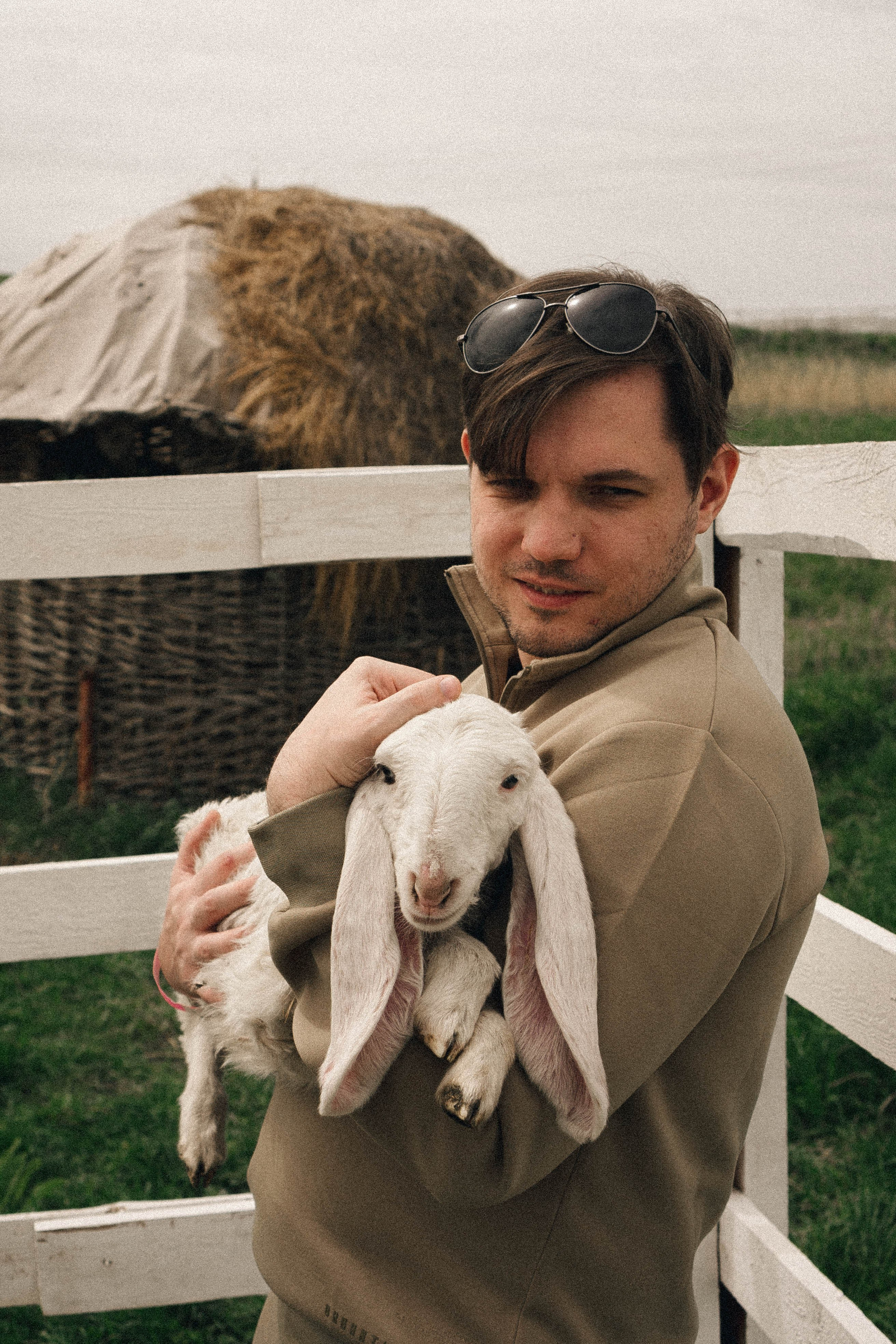Ферма Альпак. Профессиональный фотограф, Санкт-Петербург — Виктория Богомолова