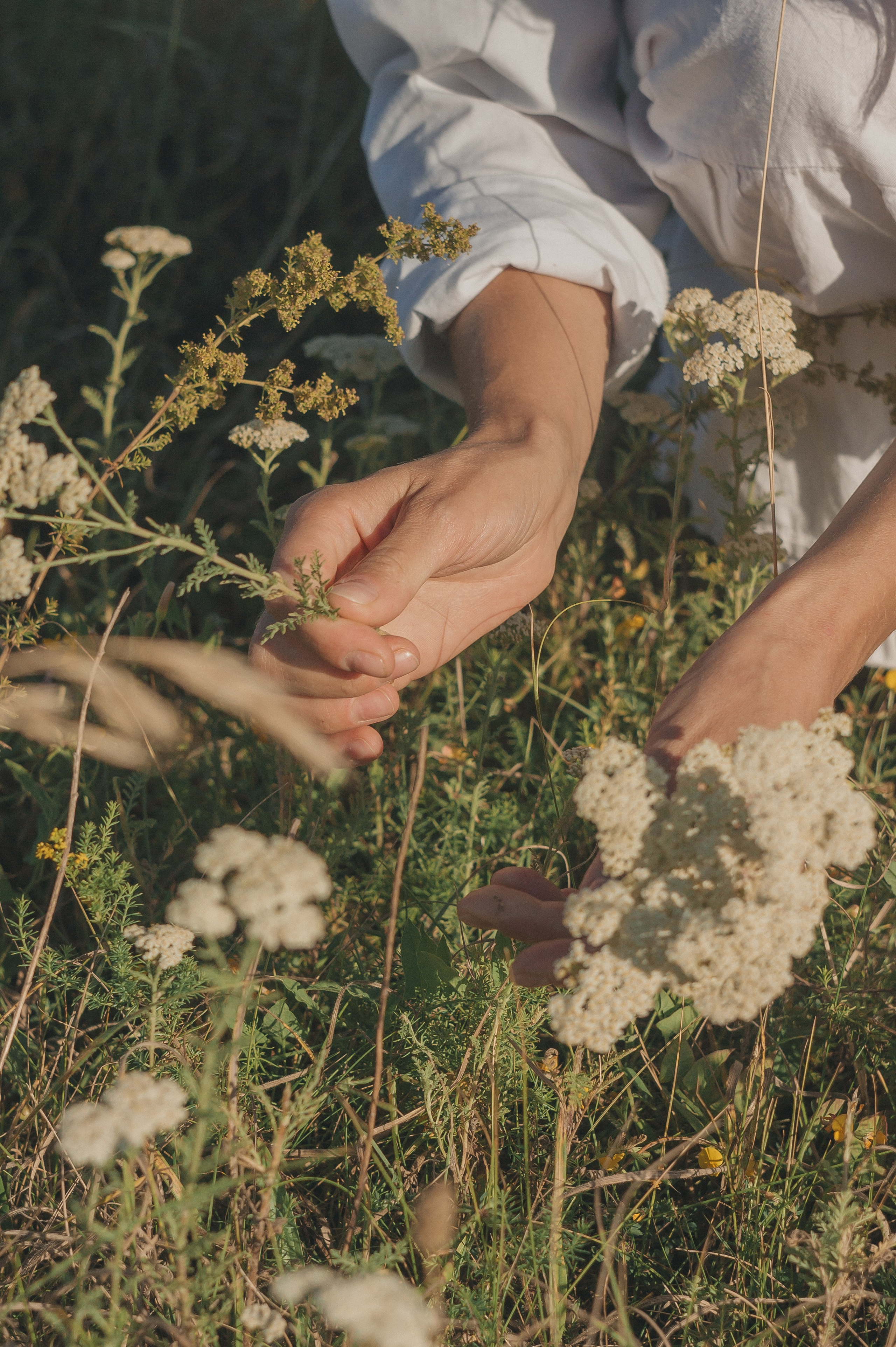 Людмила. Фотограф Людмила Белова