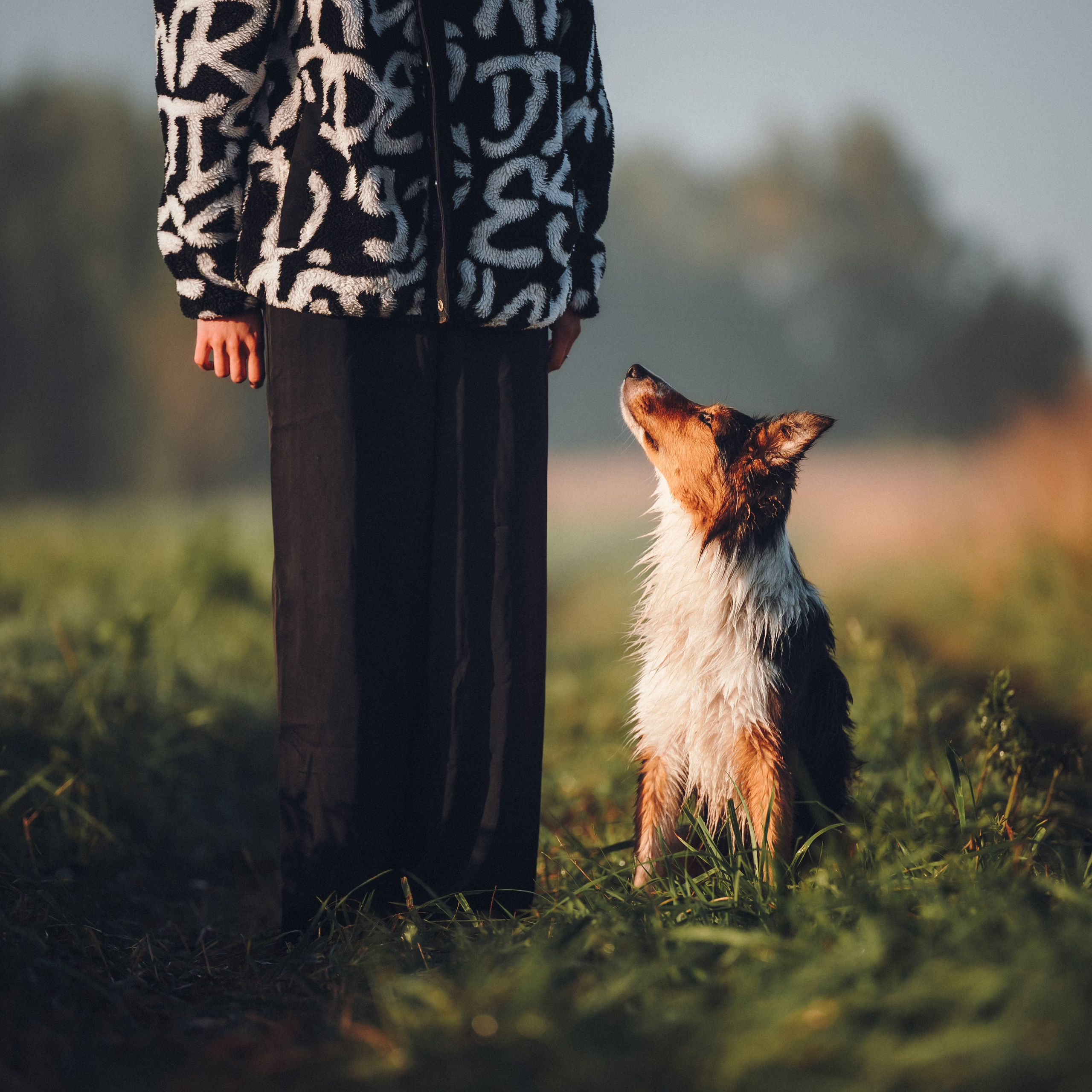 Саша, Флик и Эсприт. Семейный фотограф анималист Ананьева Мария — Москва