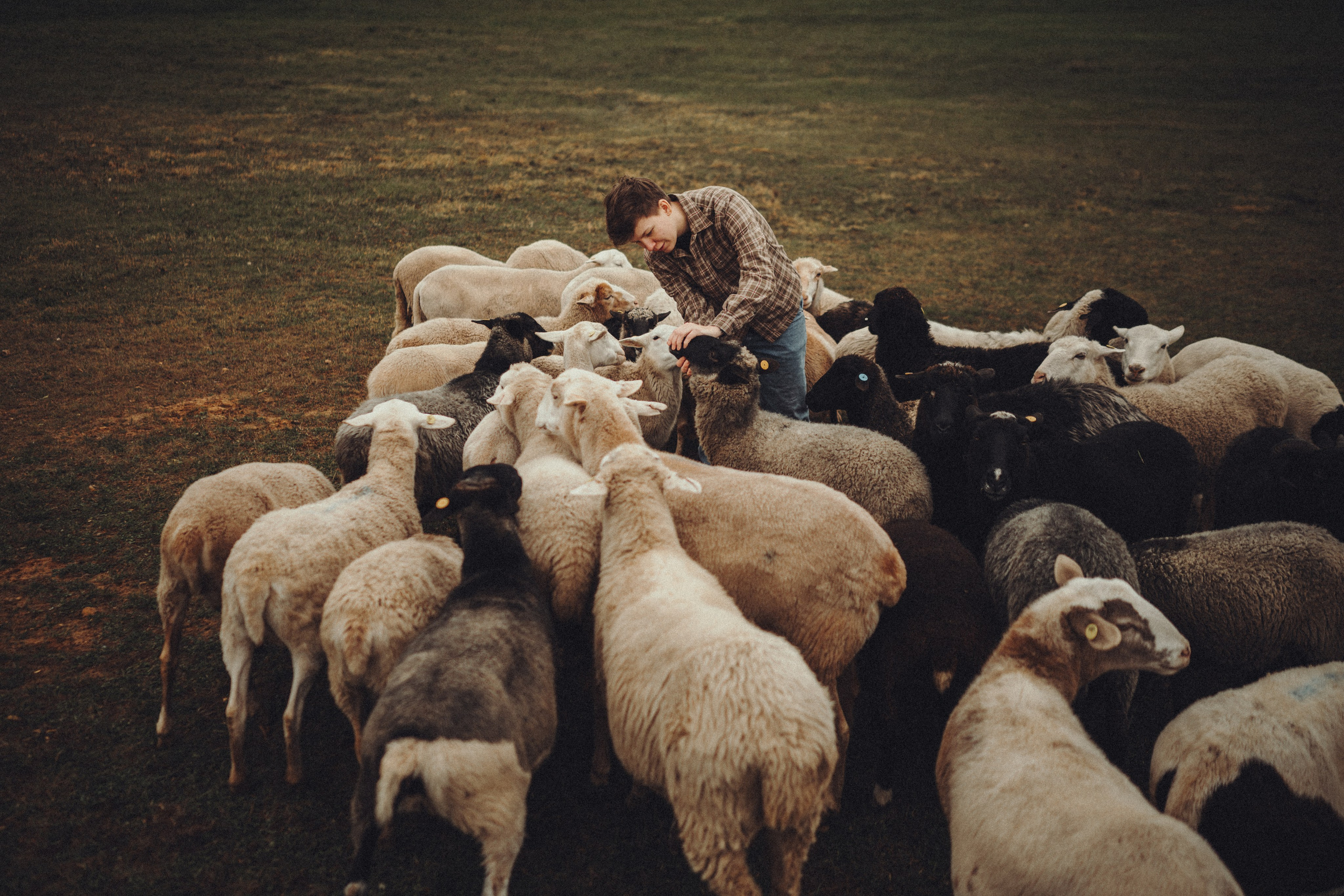 Настя и Рэги на ферме. Семейный фотограф анималист Ананьева Мария — Москва