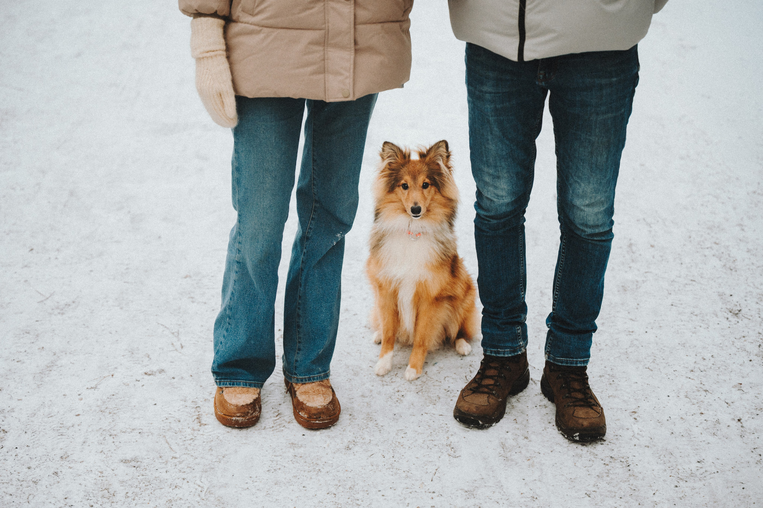 Дарья, Стас и Спика. Семейный фотограф анималист Ананьева Мария — Москва