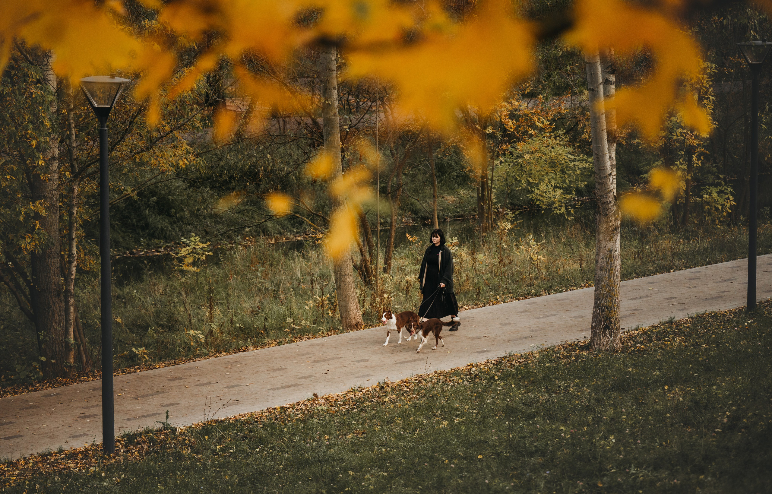 Даша, Мика и Теллур. Семейный фотограф анималист Ананьева Мария — Москва