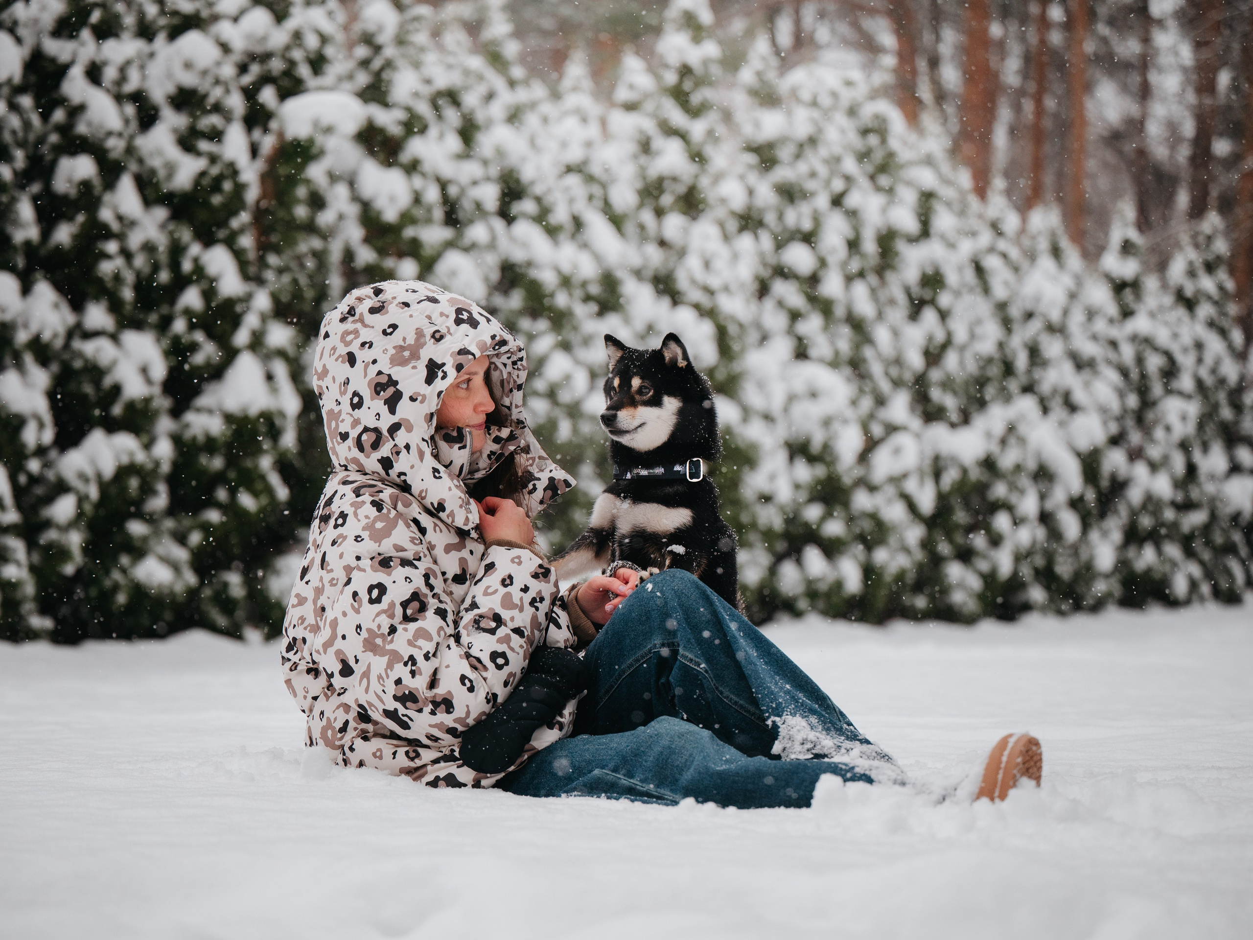 Bender&Frai. Зимняя коллекция. Семейный фотограф анималист Ананьева Мария — Москва