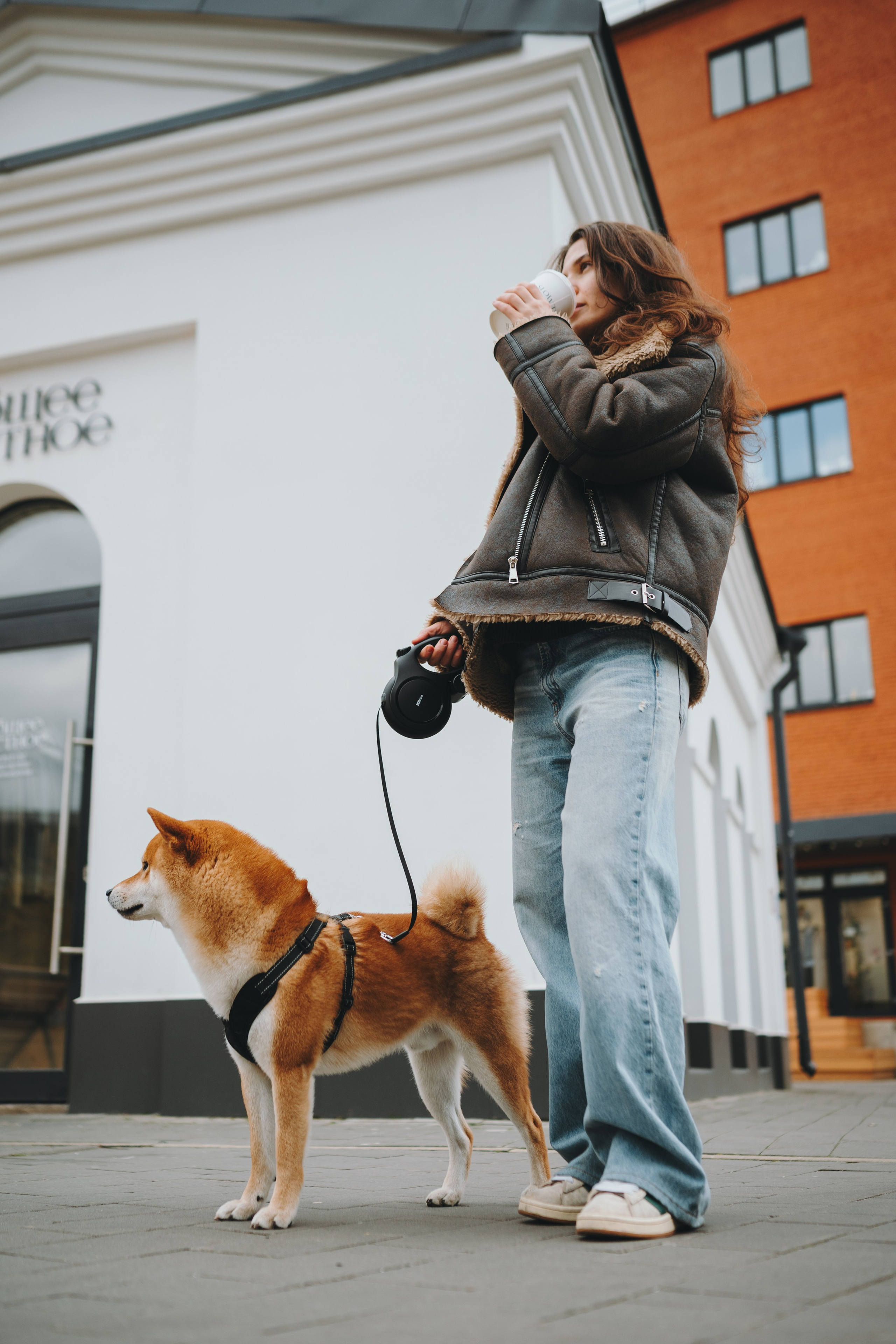 Pawsitive. Семейный фотограф анималист Ананьева Мария — Москва