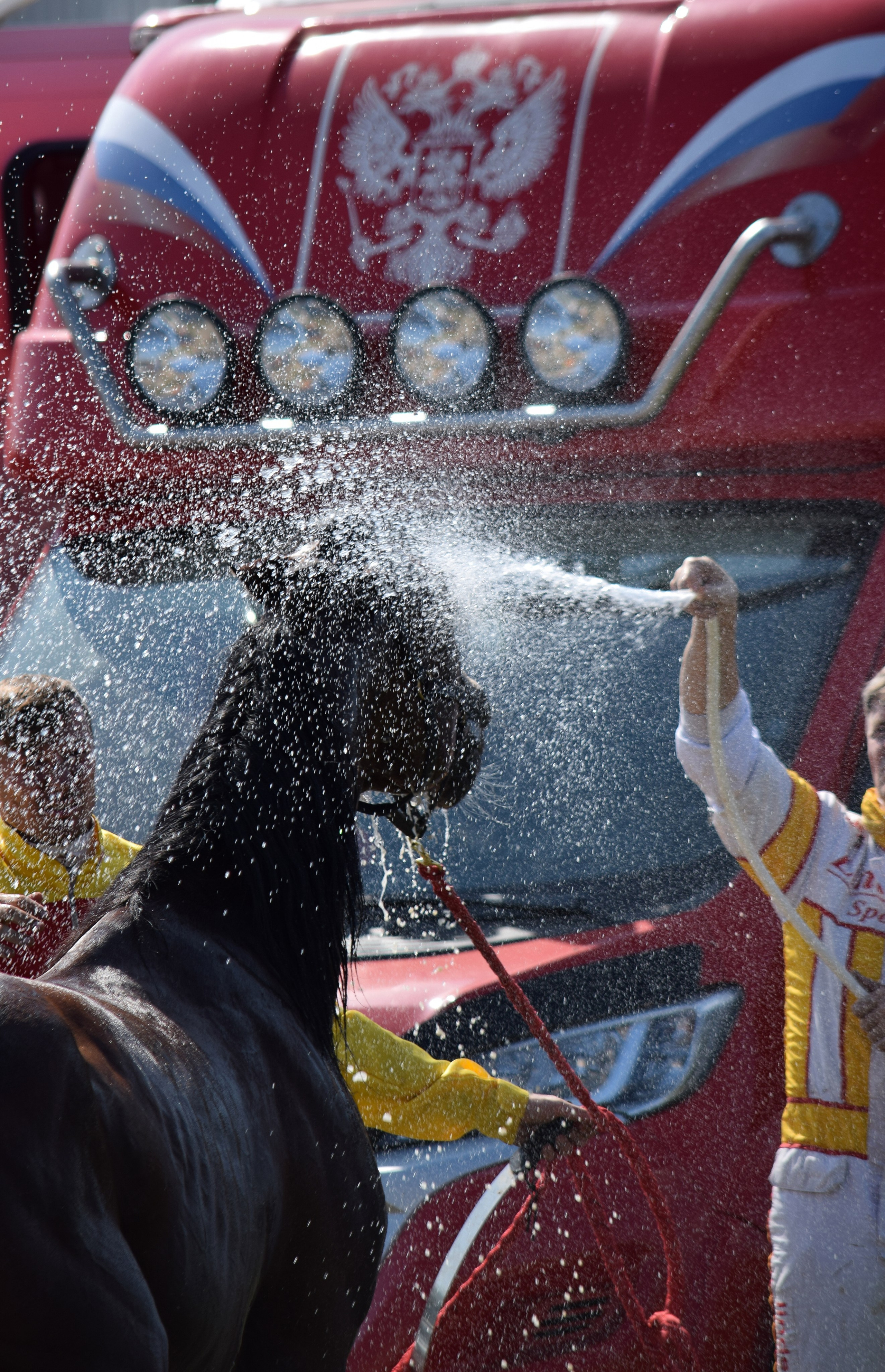 Кубок Губернатора, ипподром Саратов, 2019 г. Конный фотограф в Саратове Юлия Иванова