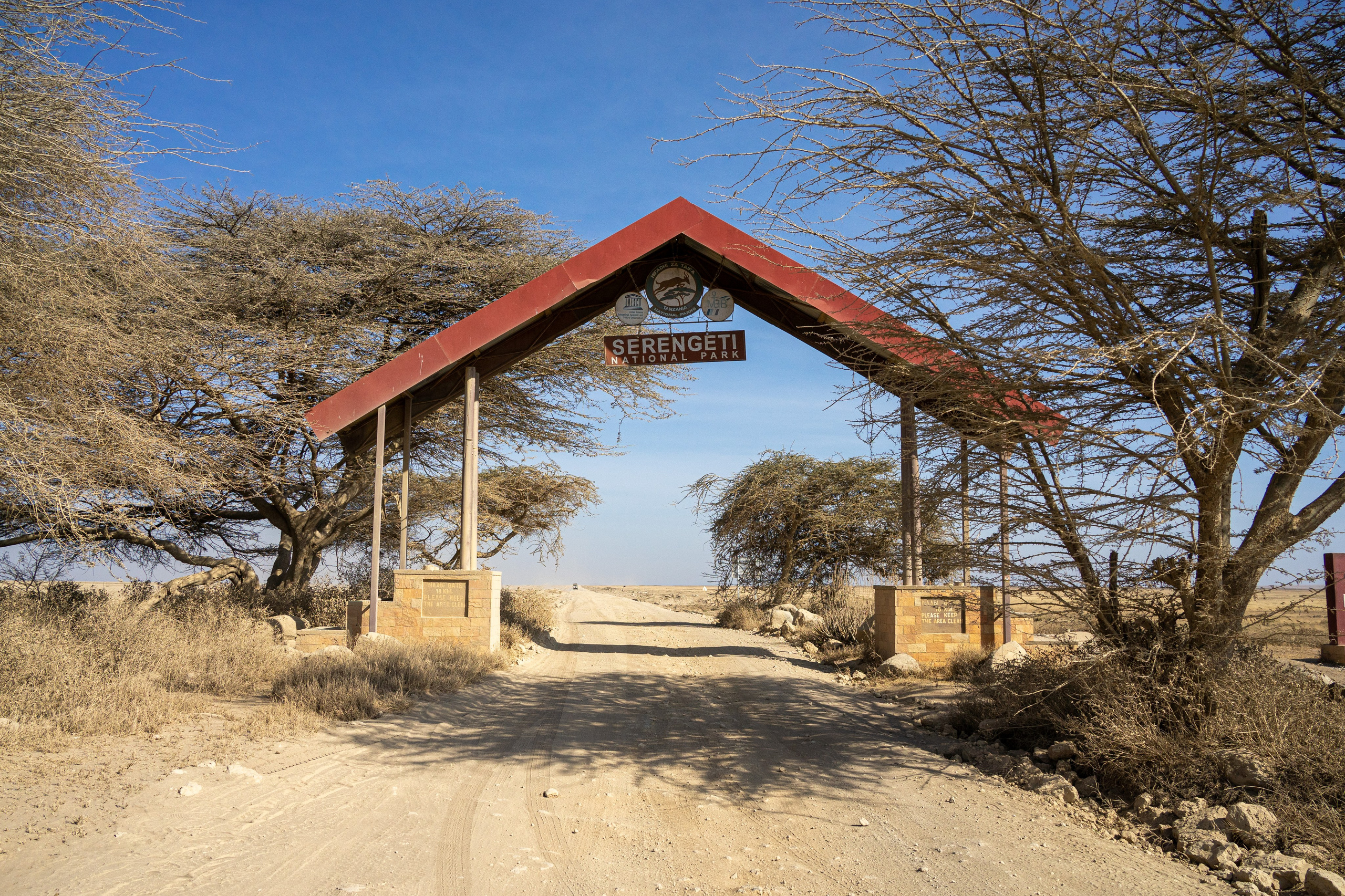 Танзания, сафари, 2025. Творческие сьемки