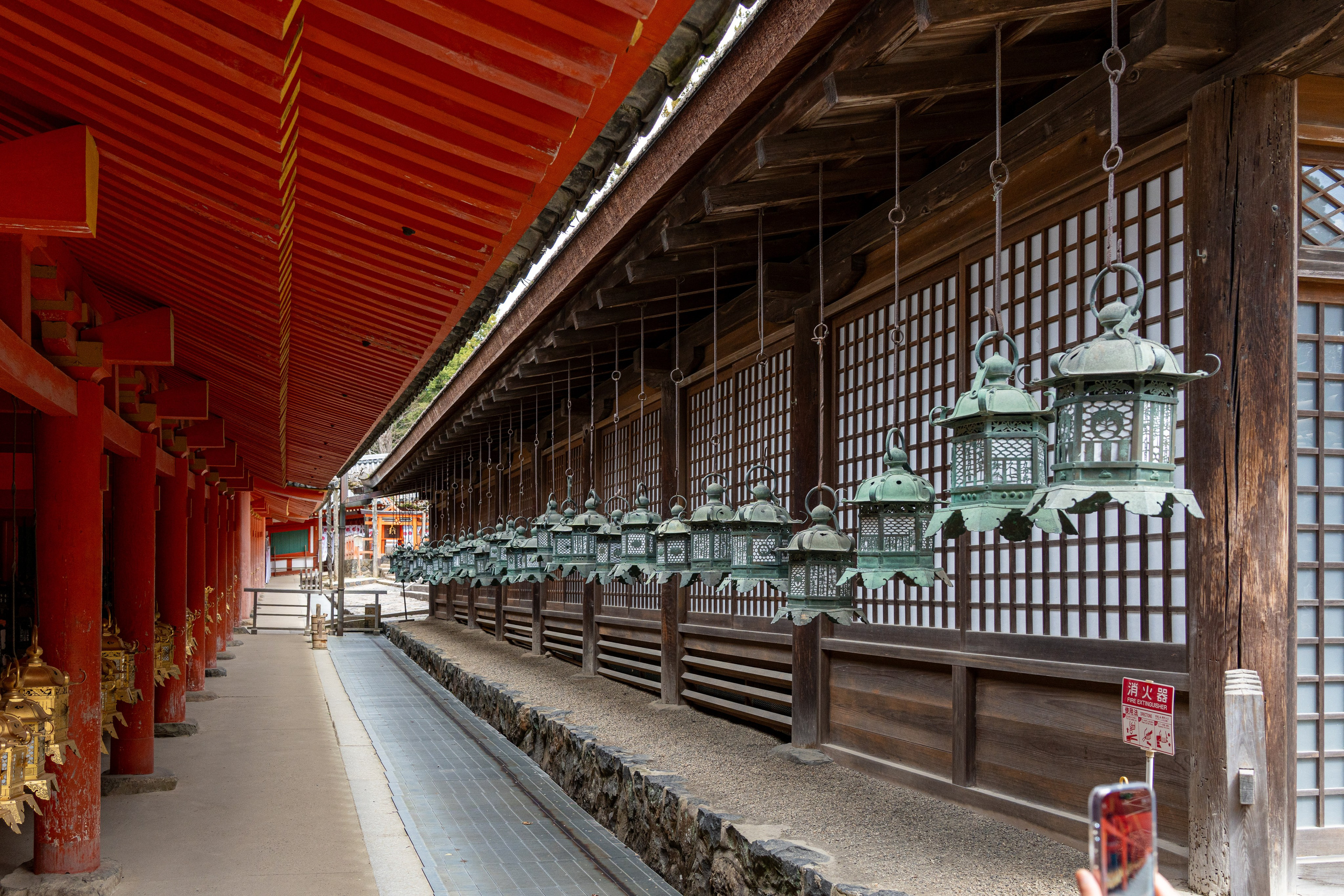 Япония, сакура. Творческие сьемки