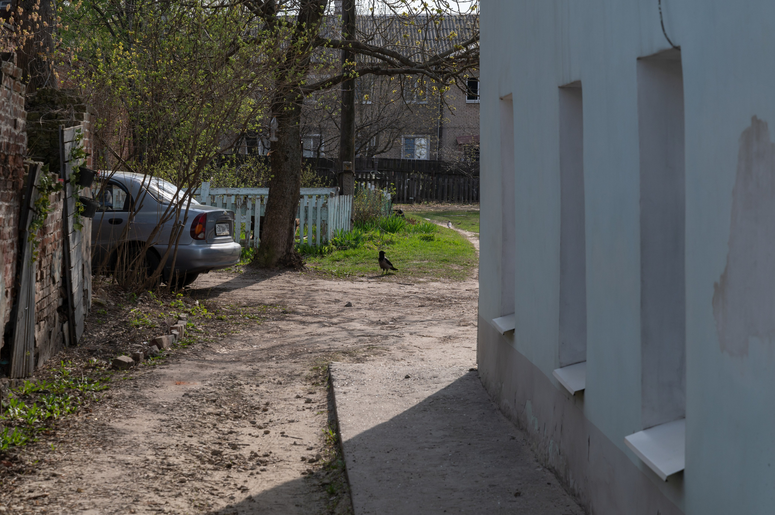 20230419 Коломна. Дмитрий Ремизов. Фотография, как хобби