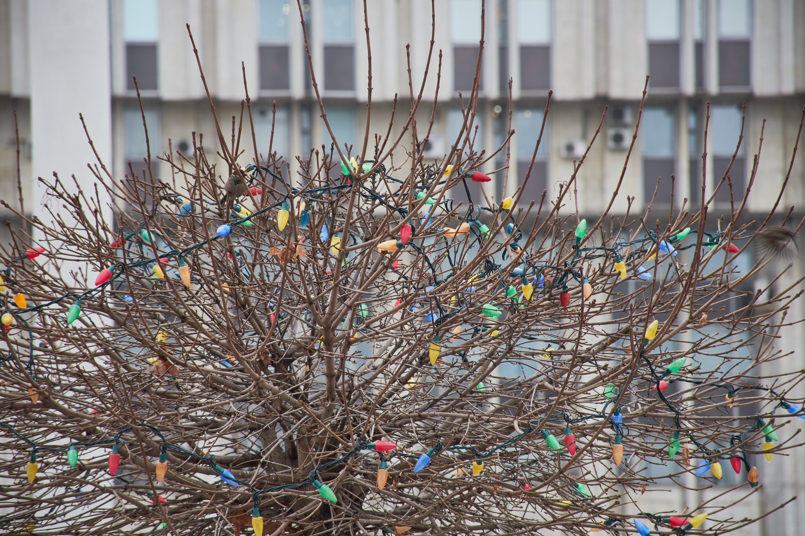 20210316-18 Тула. Дмитрий Ремизов. Фотография, как хобби