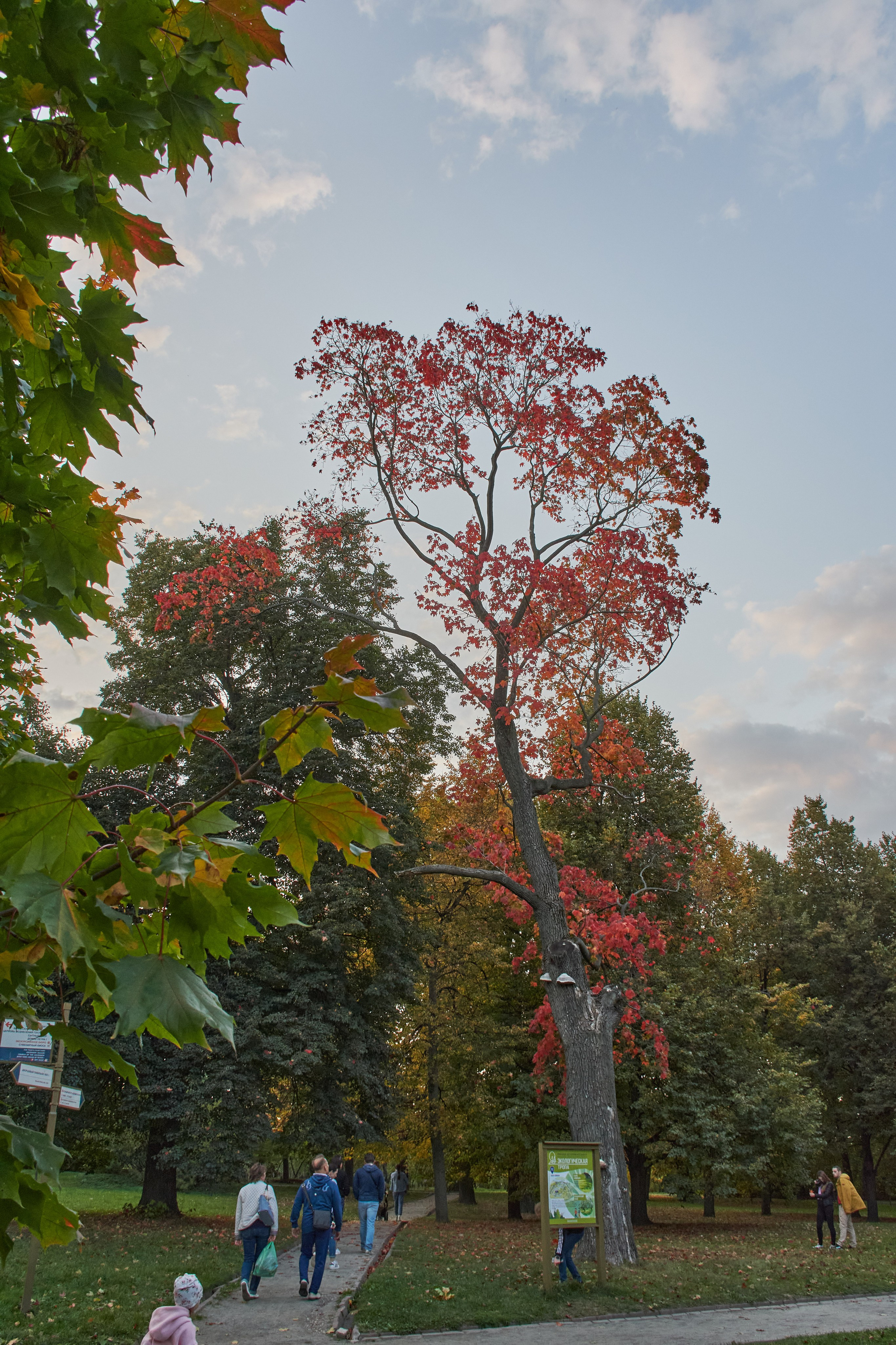 20200927 Коломенское. Дмитрий Ремизов. Фотография, как хобби
