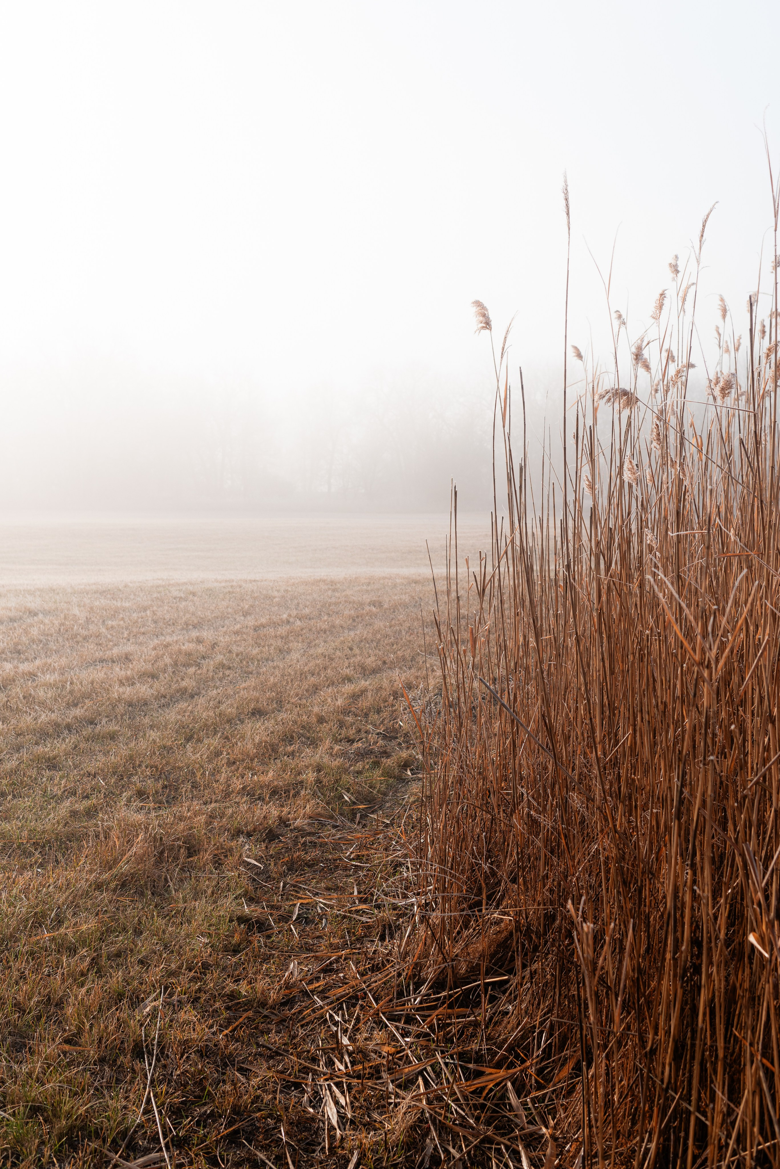Фотографии утреннего тумана под Волжским. Фотограф в Волгограде и Волжском Александр Горбань