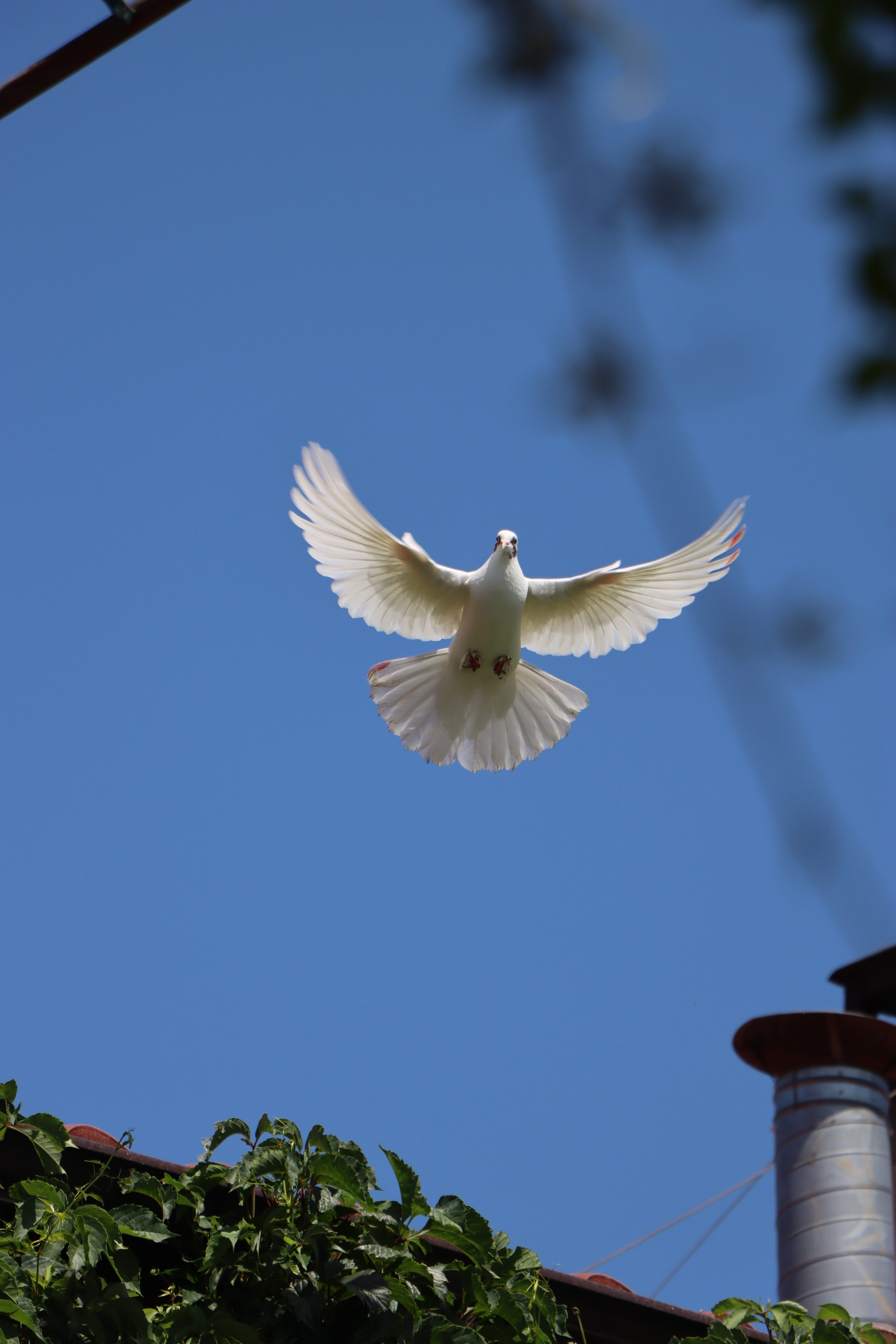 Пейзажи и прочее