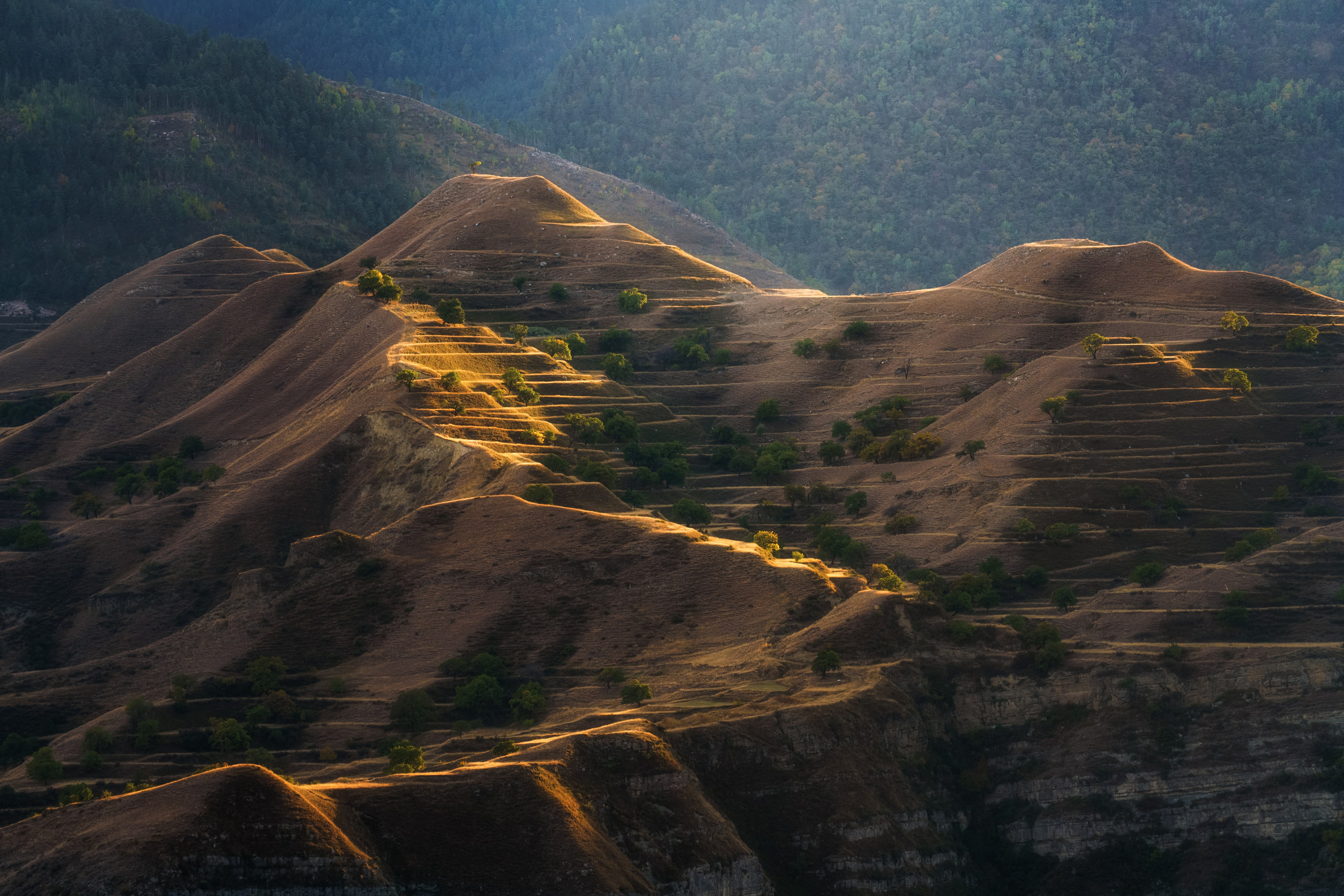 Тур в Дагестан