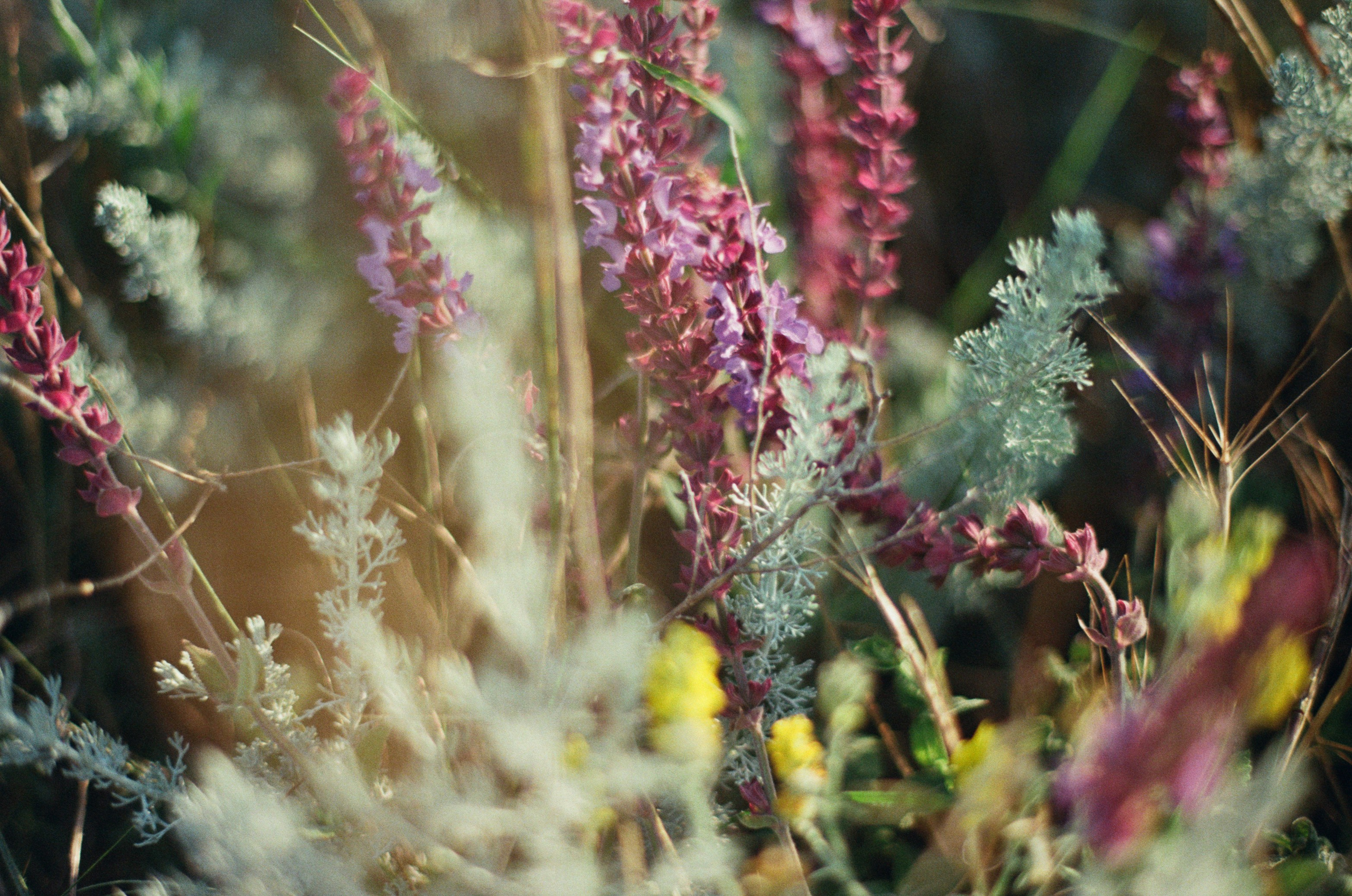 Silent running // ukraine, crimea III. EVER EXPOSED