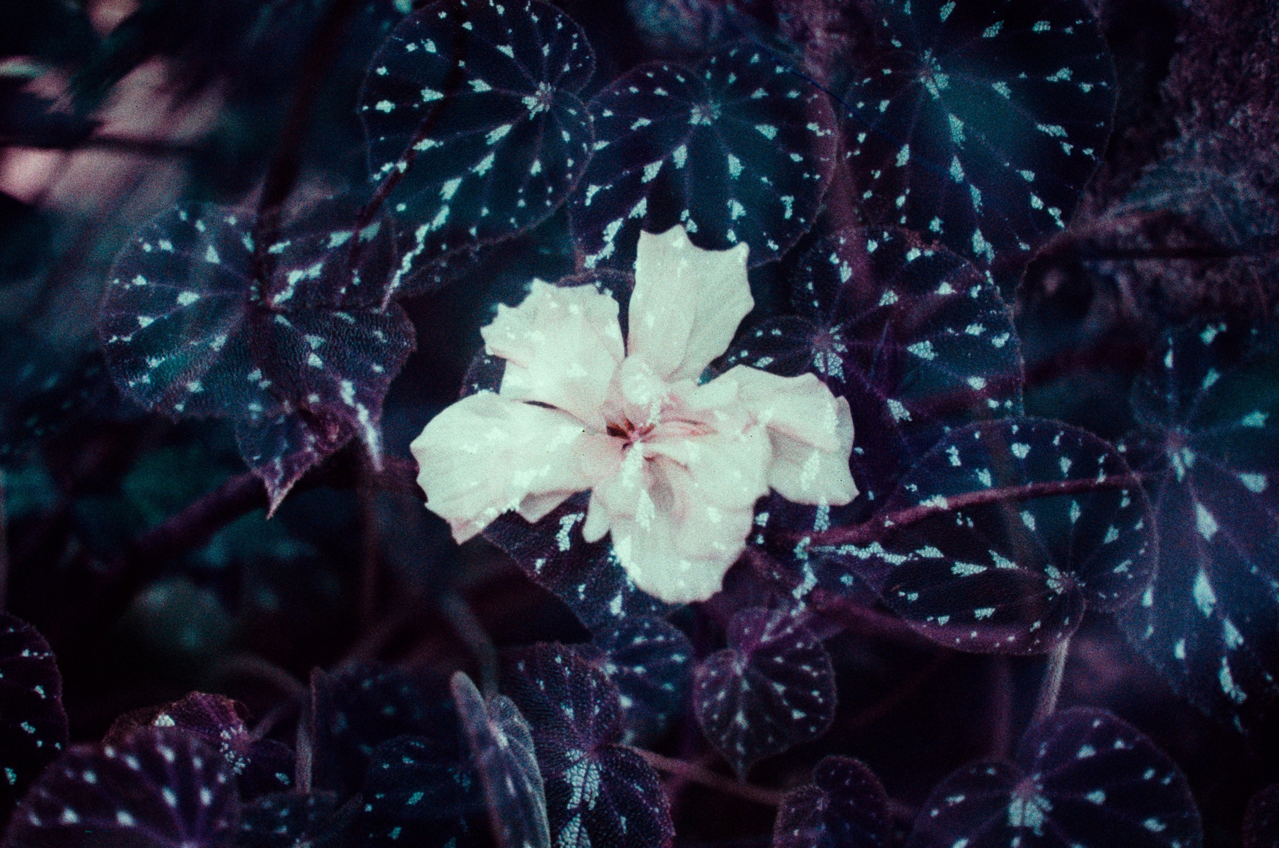 Everything i could never say to you. EVER EXPOSED